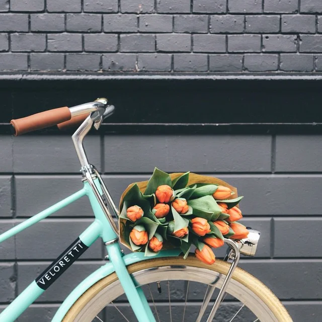 Bike to places to better the environment and get fit for spring