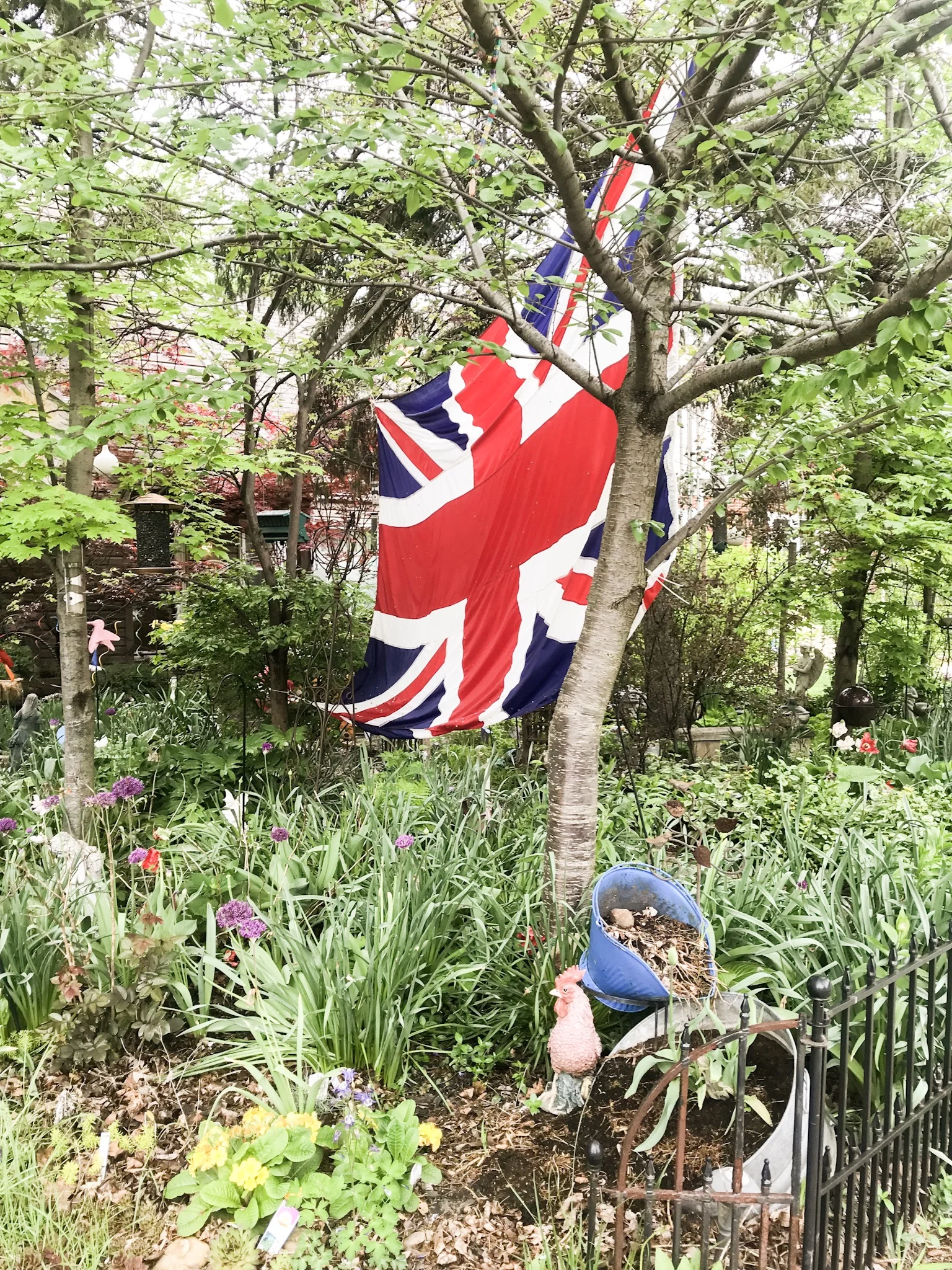 Meghan Markle and Prince Harry Wedding. Photo by Macaila Britton.