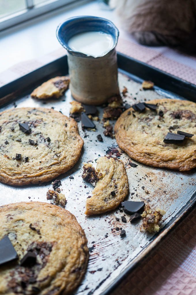 Wrinkly Chocolate Chip Cookies