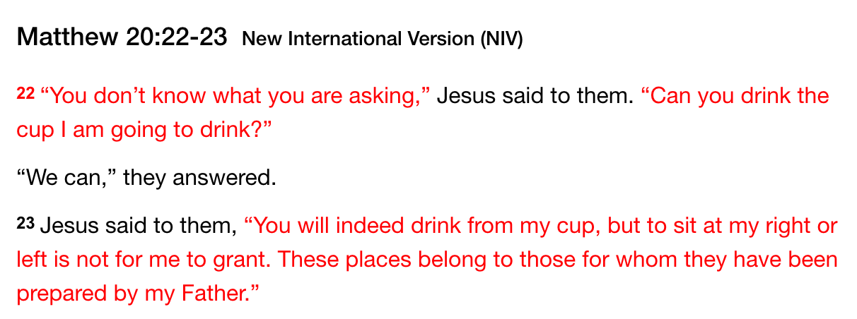 Matthew 20:22-23 NIV Bible Passage A Mother's Request