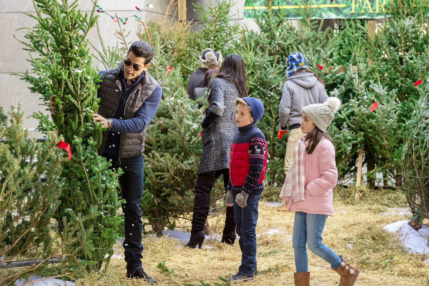 Starring: Jesse Metcalfe and Fiona Gubelmann