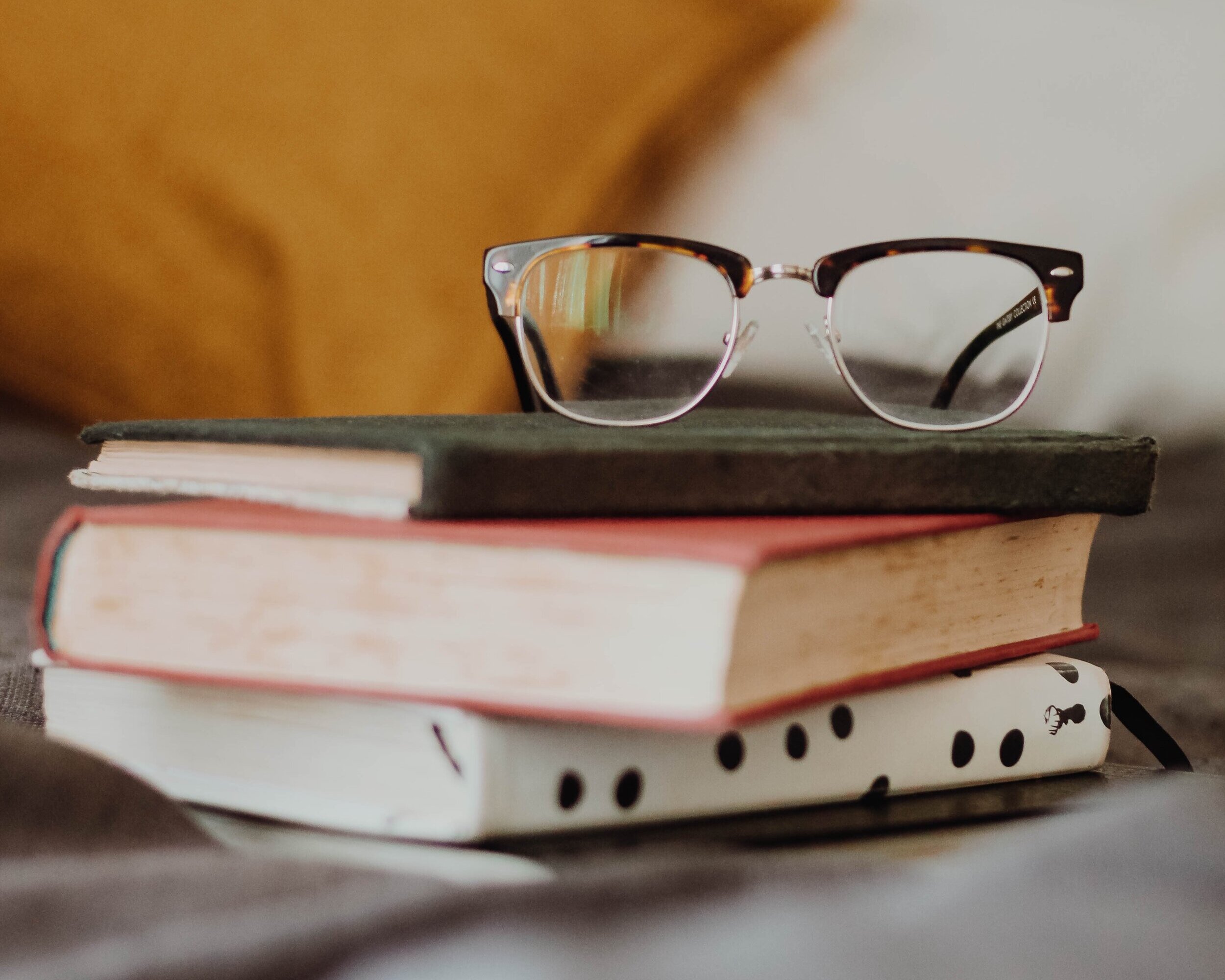 Chicago Book Blog Post