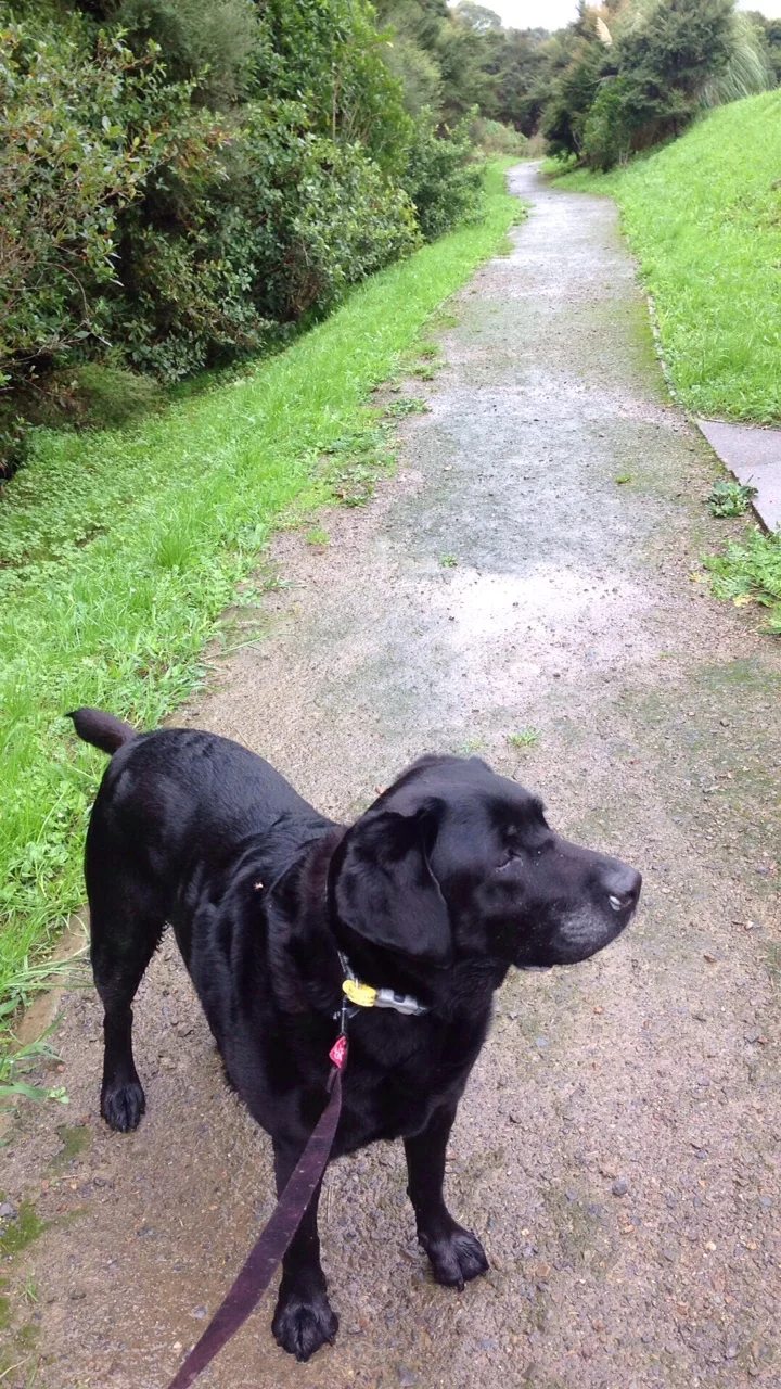 Meet Tia, a little friend who loves apples and walks. Tia is 9 years old.