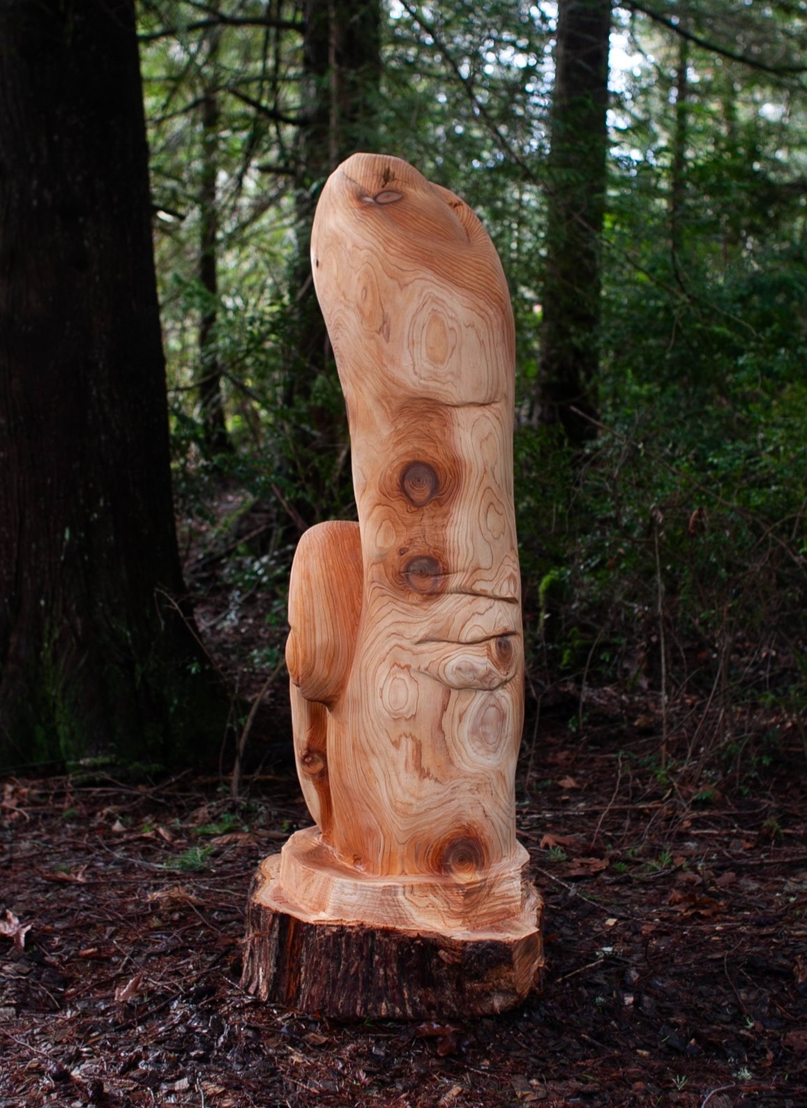  Chainsaw carved cedar log 5’ hight 