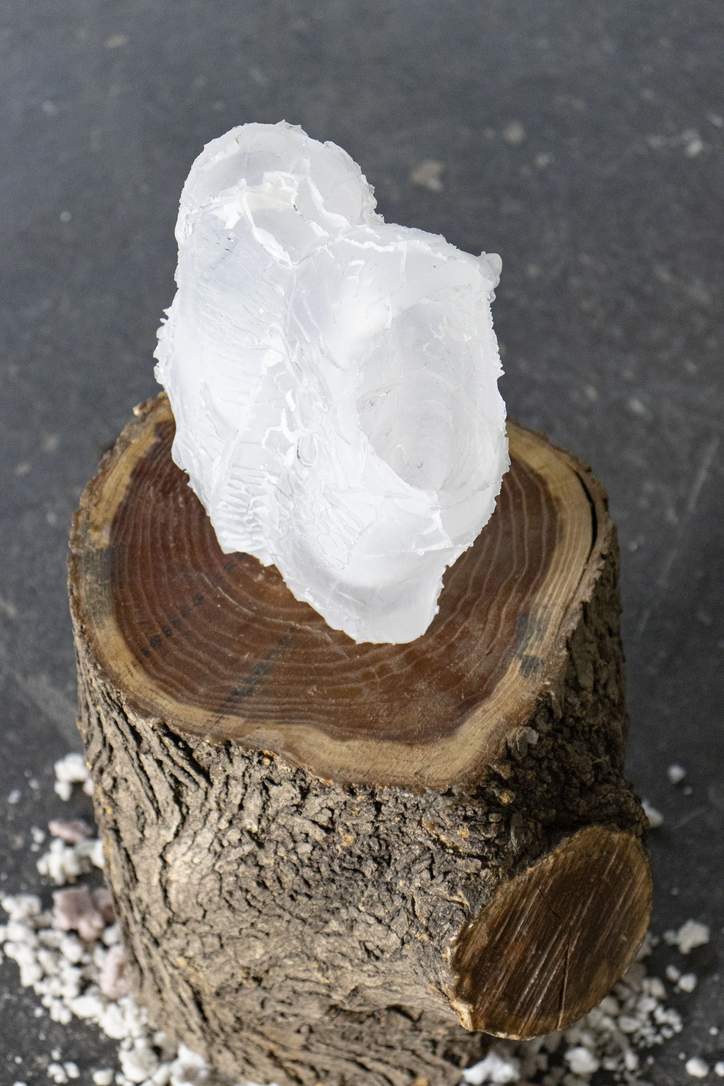 The Transformation, 2026,   cast glass, wood, cast stone,   15” x 15” x 22”  photo by Alissa Touranachun 