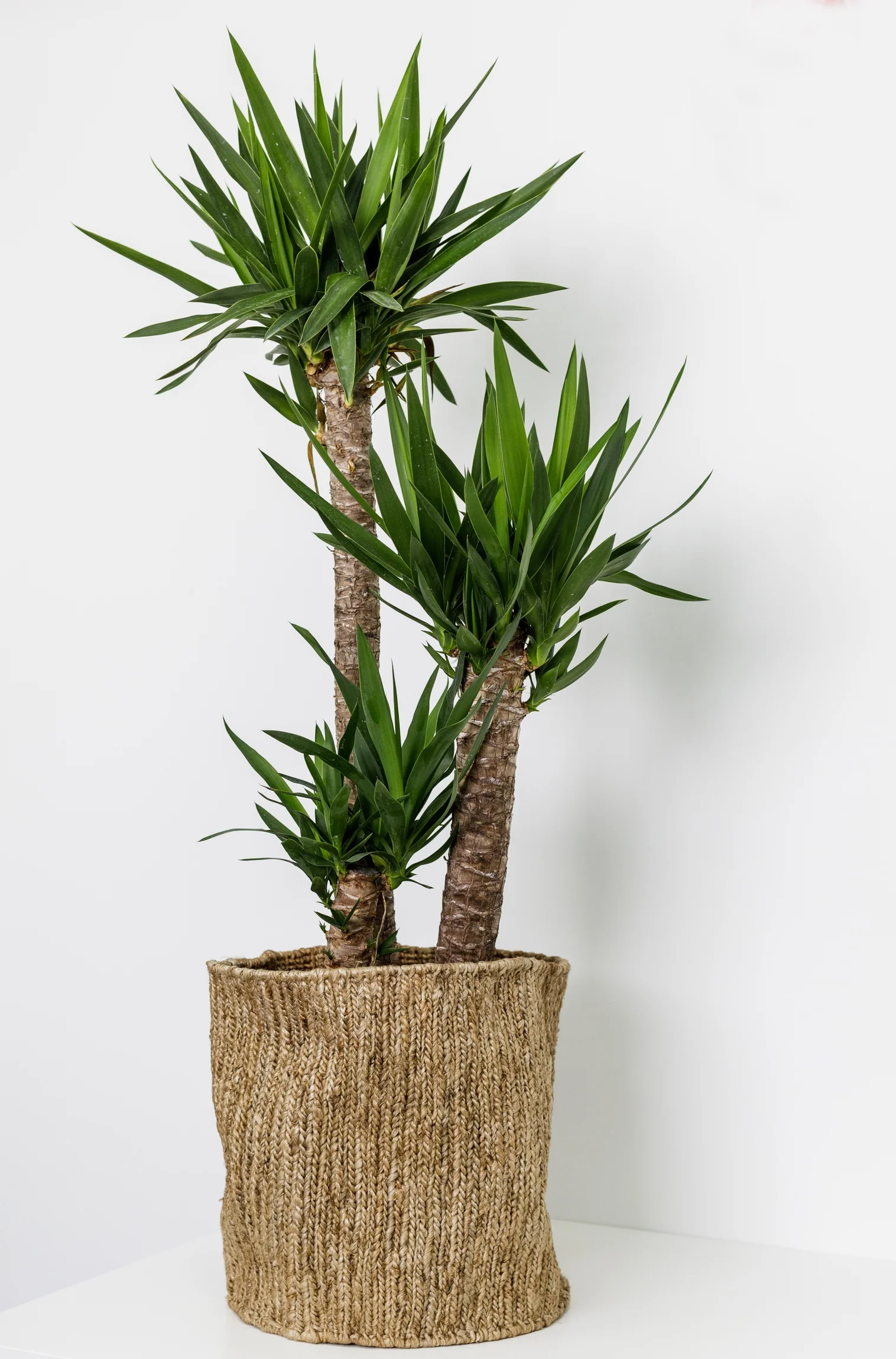 poco-100%-hand-woven-hemp-basket.jpg