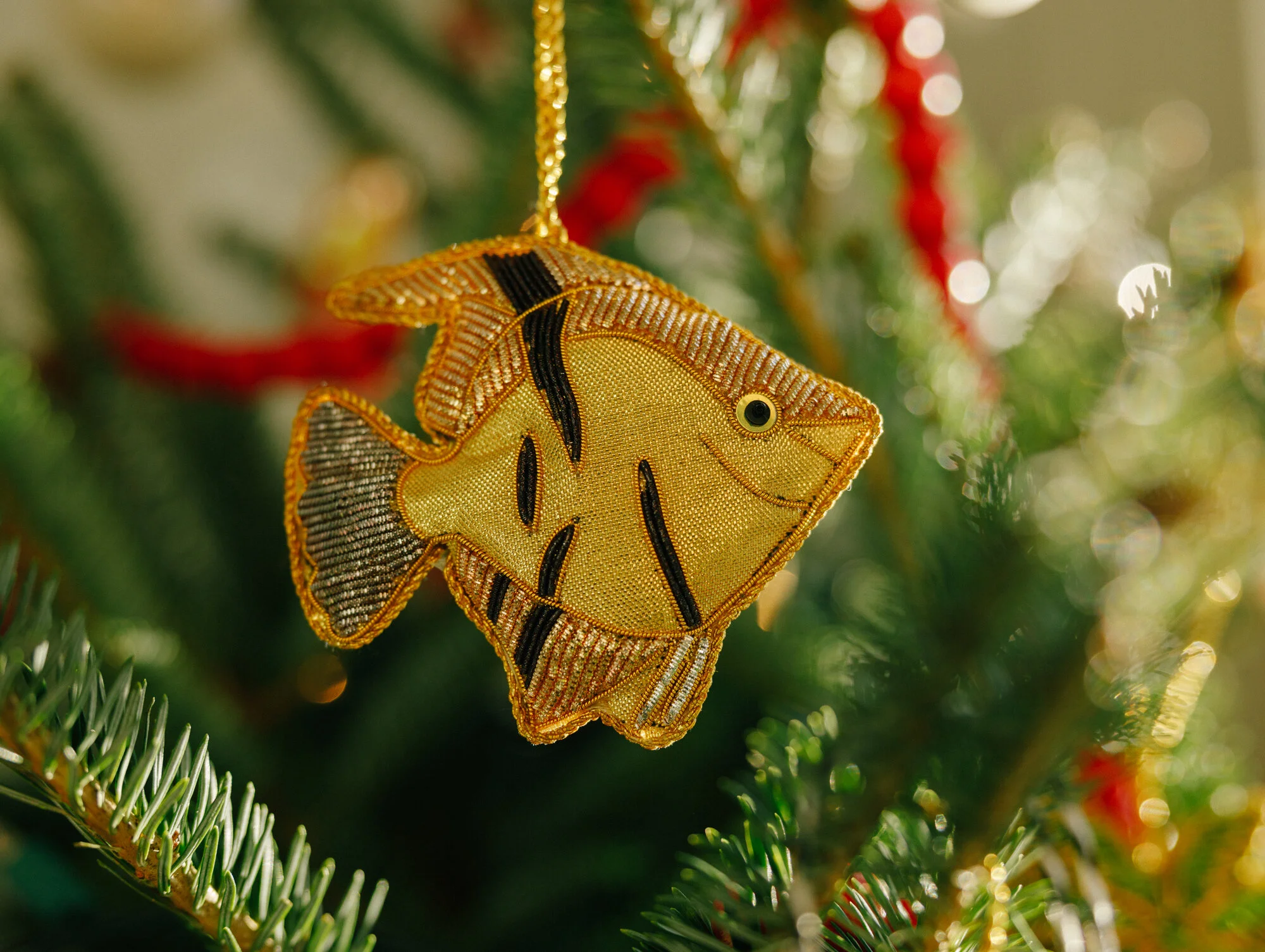 2019_11_21_JAN STUDIO web-9670.jpg