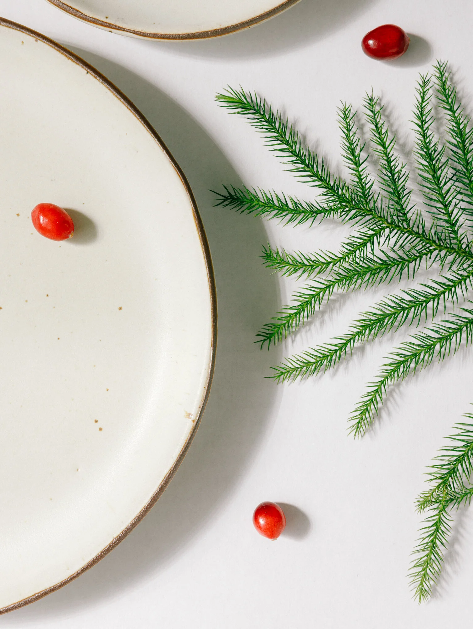 2019_11_20_JAN STUDIO web-0074.jpg