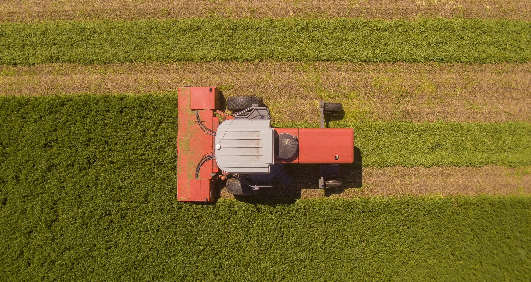 DJI_0022.jpg