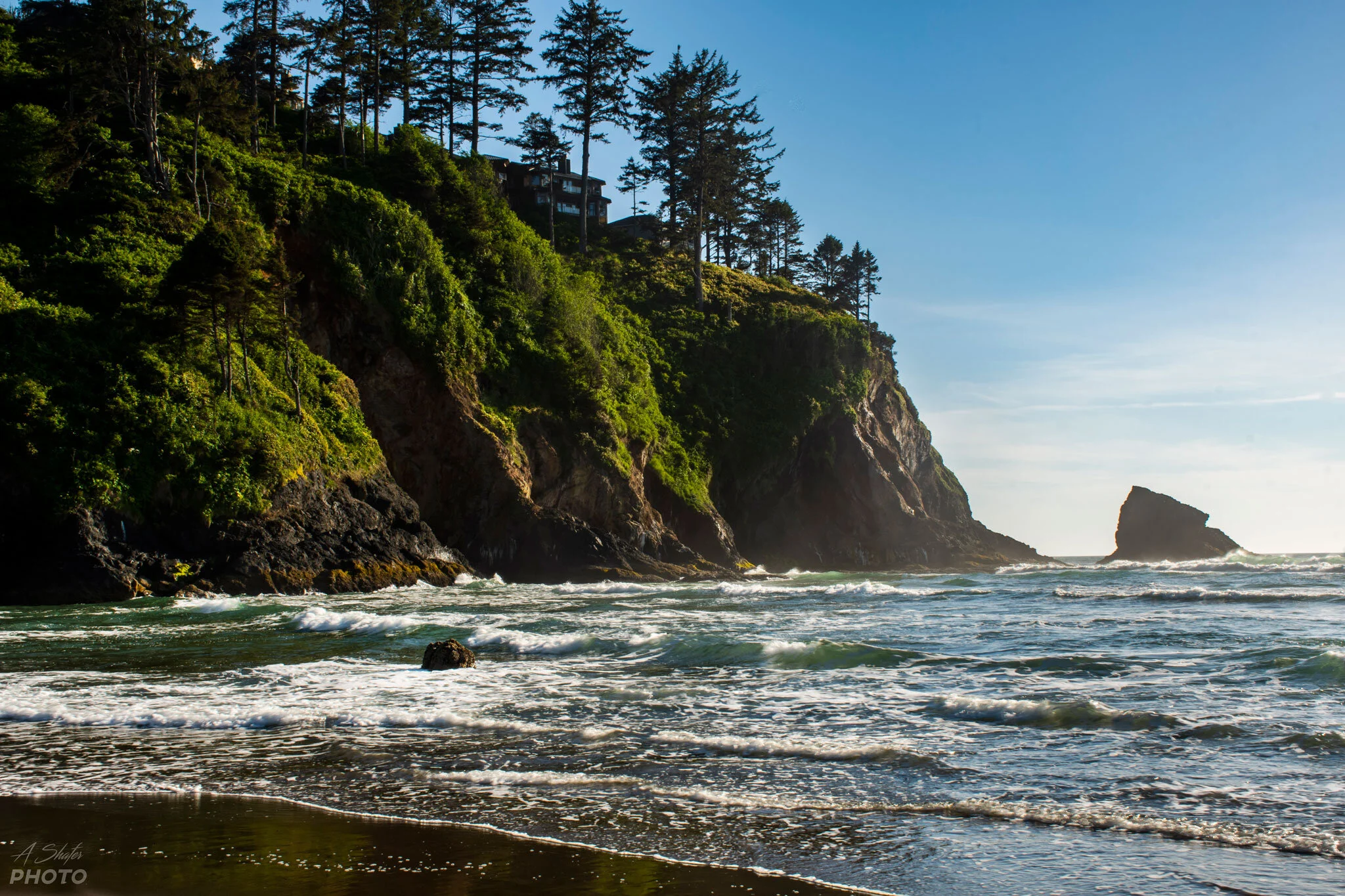 forestcove.jpg
