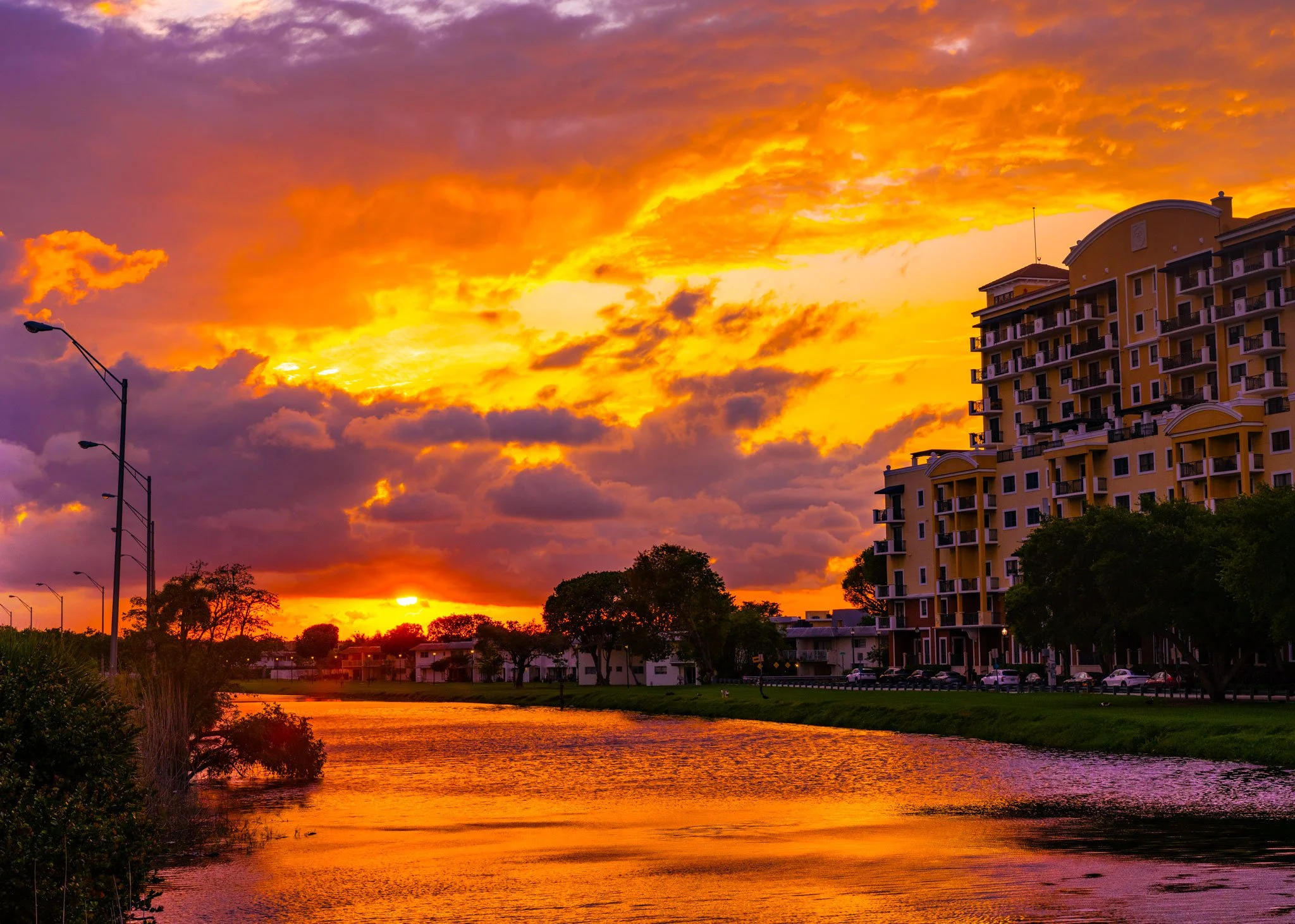 Miami-Snapper-Set-Web.jpg