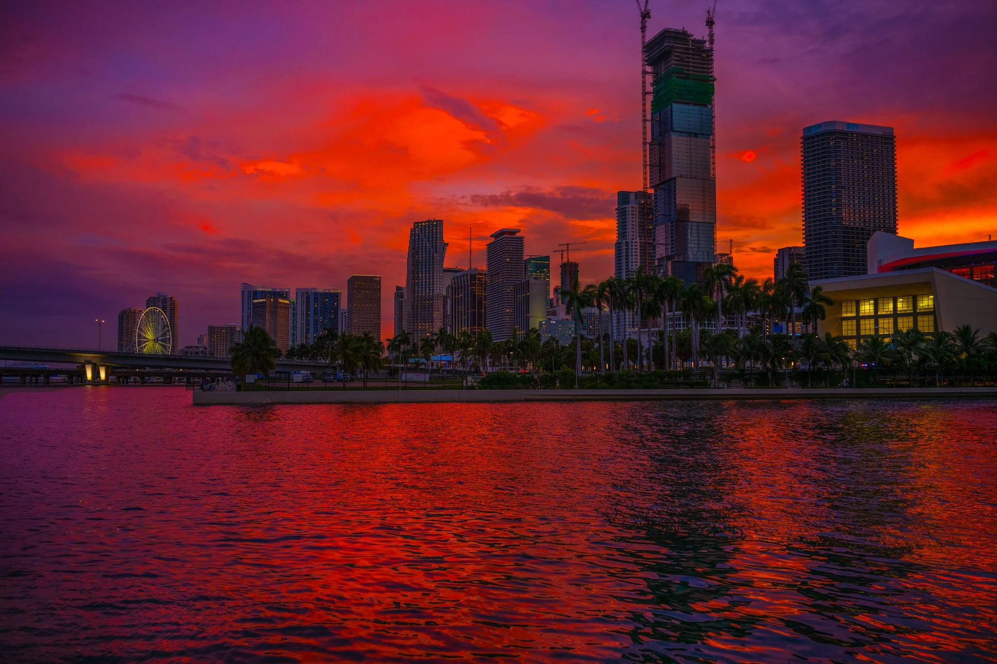 MIami-City-2-Web.jpg