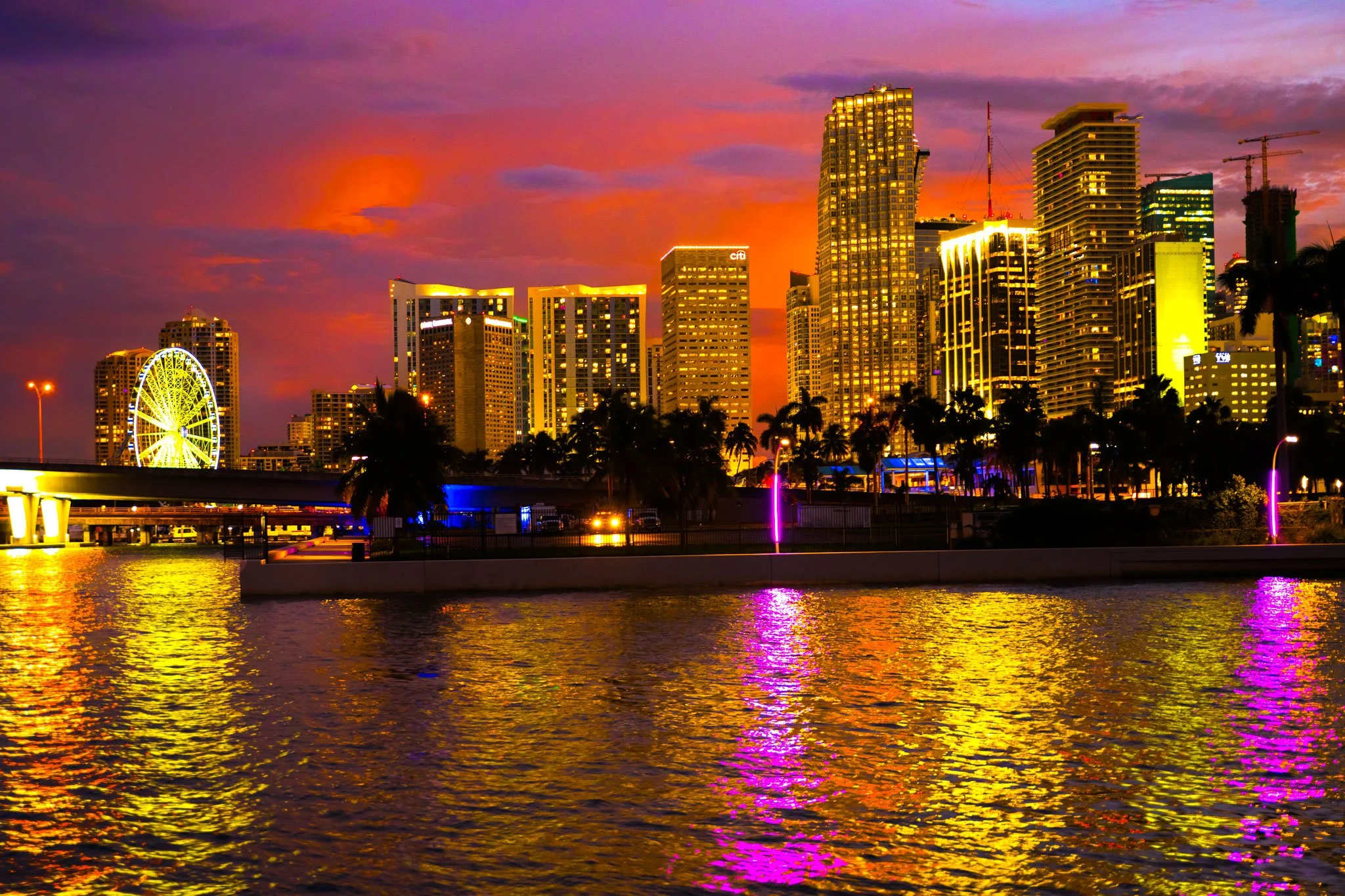 Miami-Color-Nights-Web.jpg