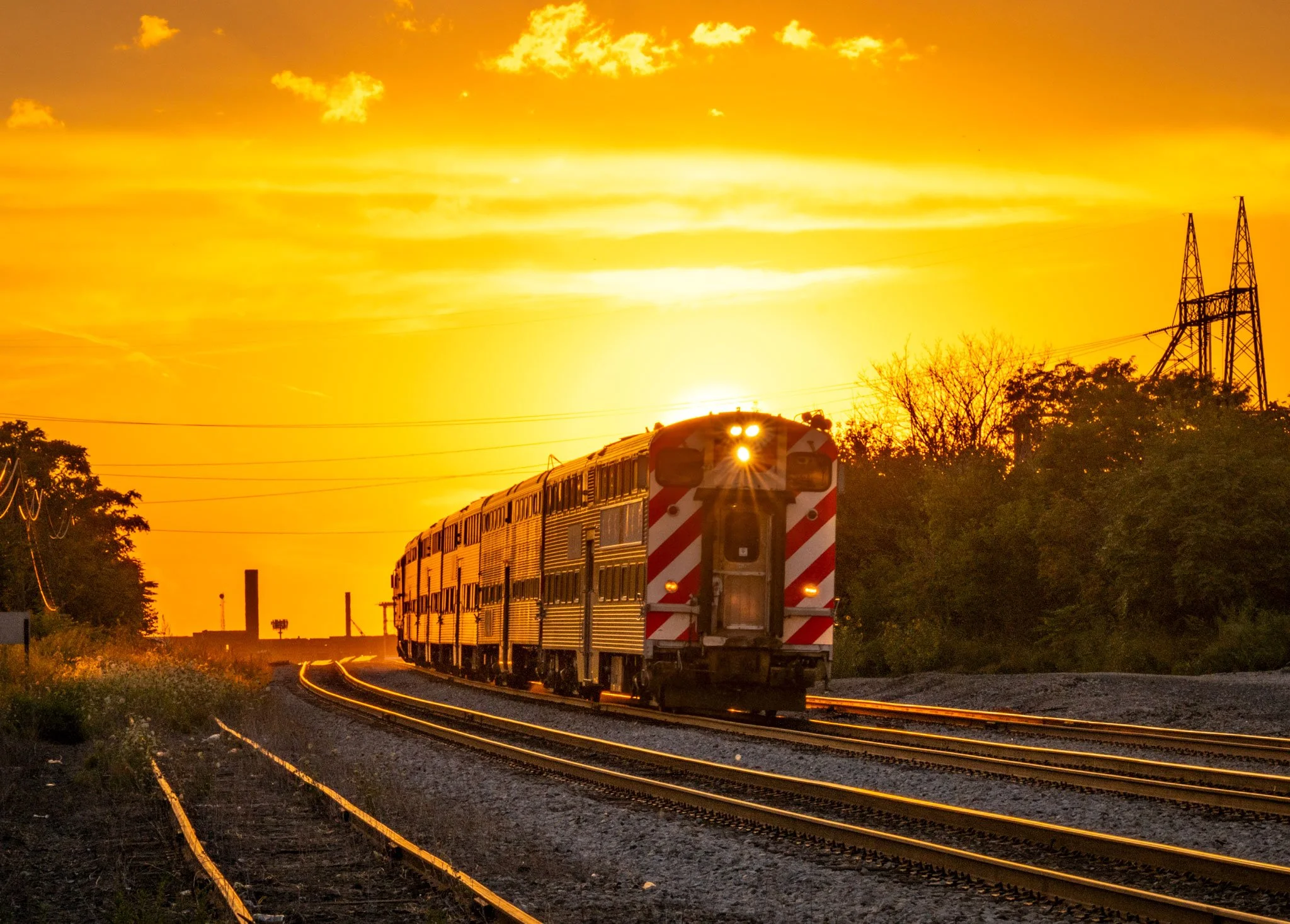 Metra-Summer-Gold-Zoom-Web.jpg