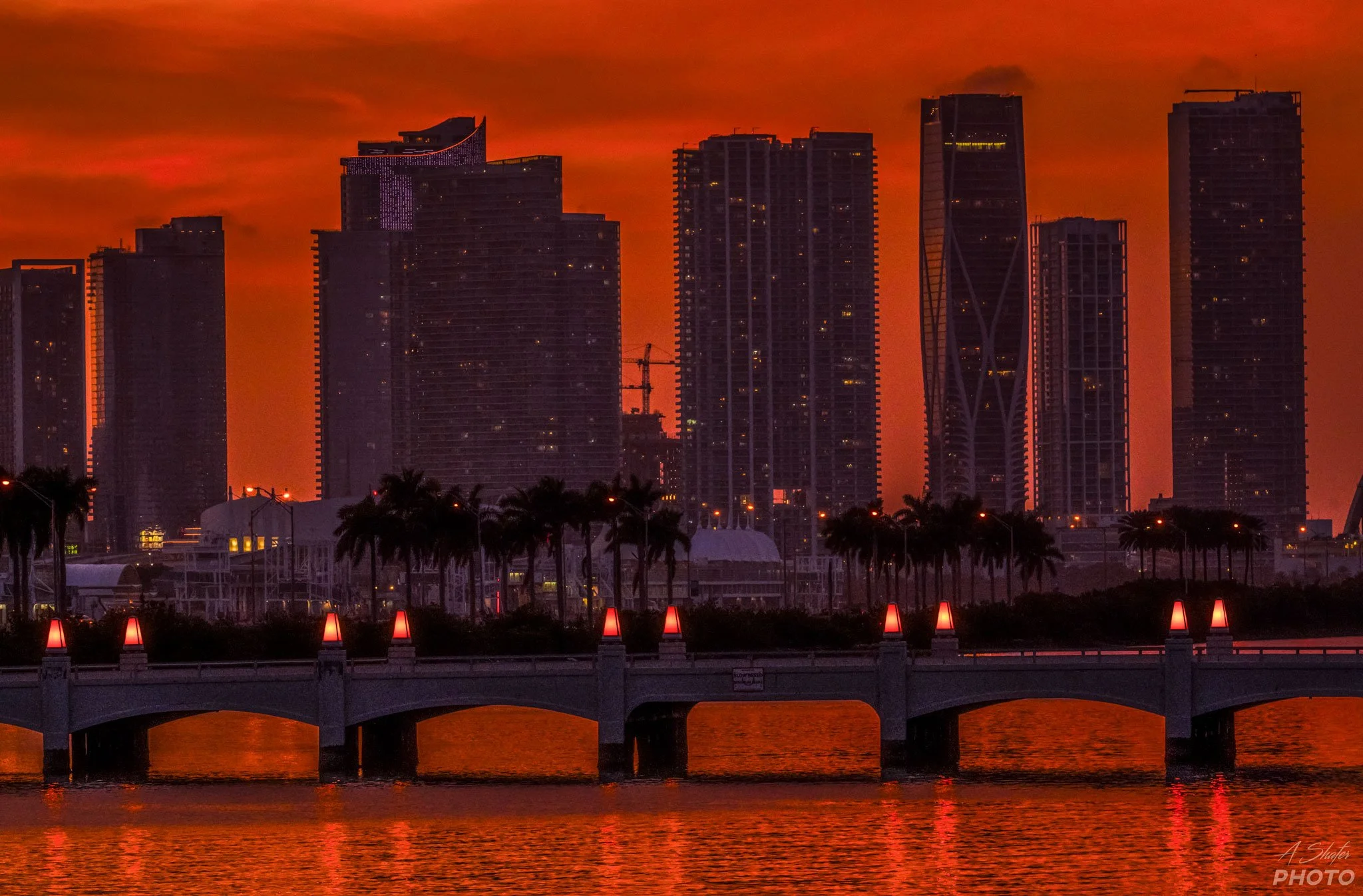 Miami-Red-Web.jpg