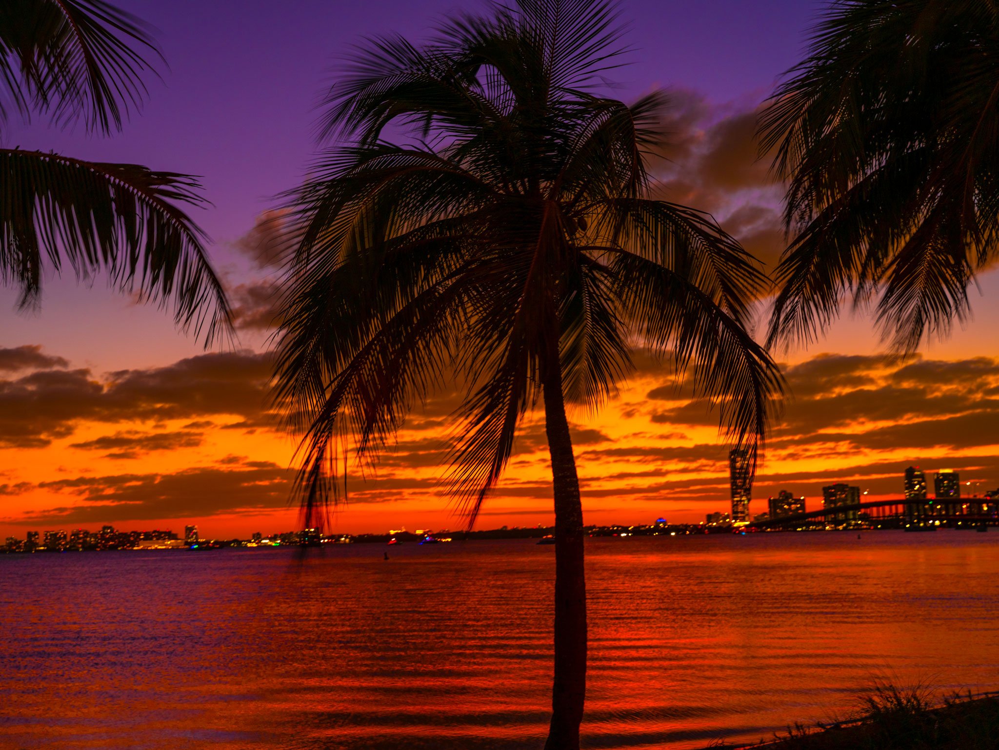 Palm-Breeze-Web.jpg