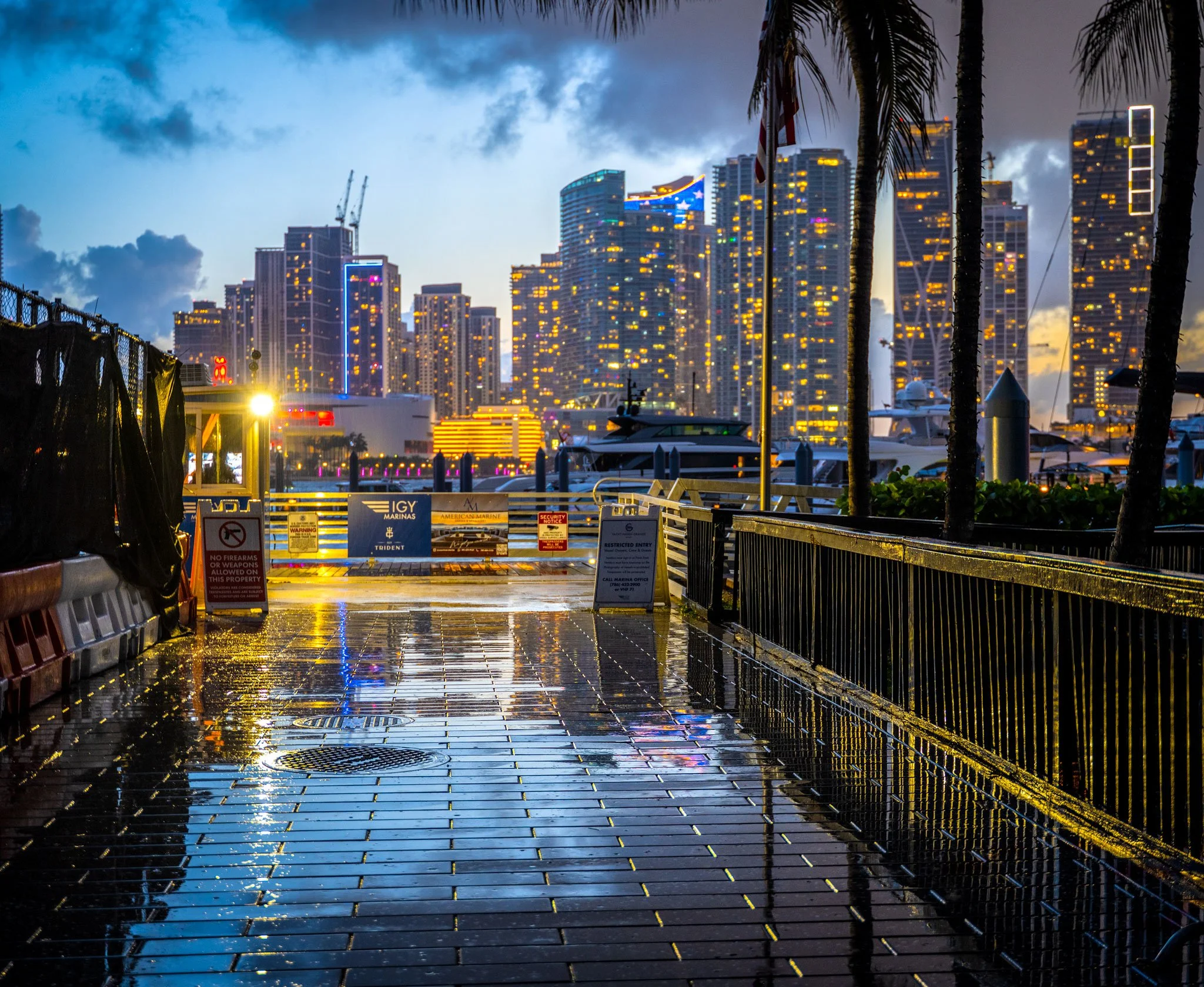 Miami-Moment-Web.jpg