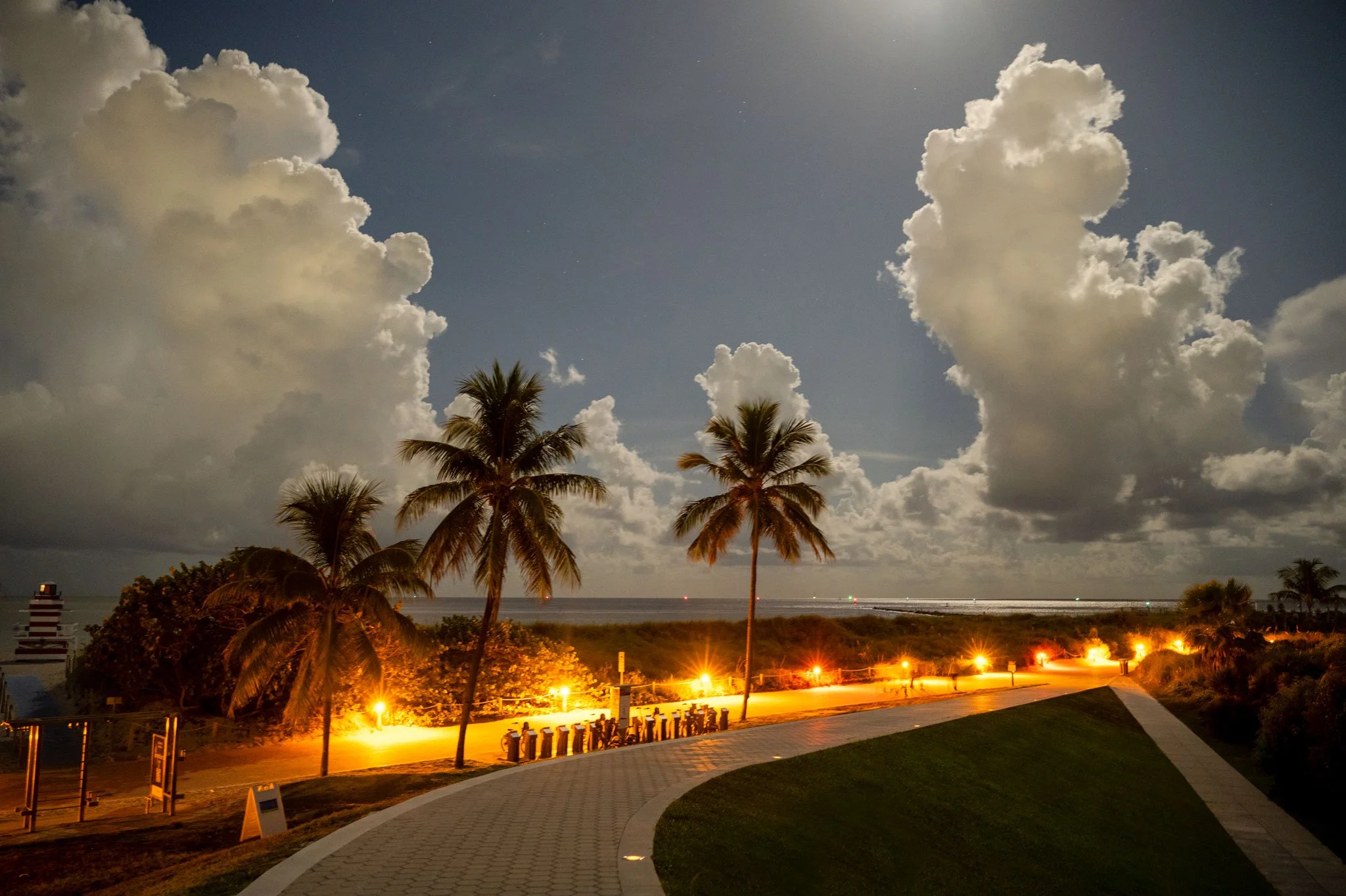 MIami-Holy-Palms-2-Web.jpg