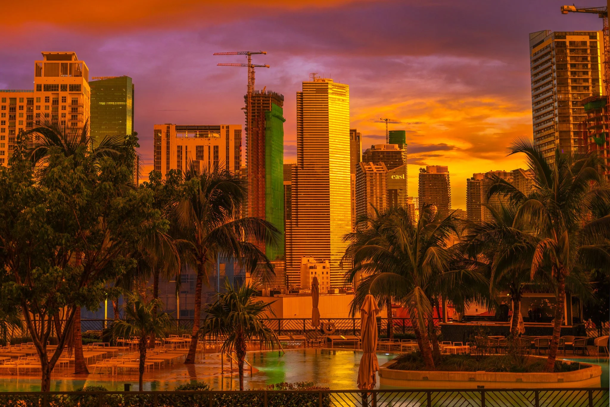 Miami-Tower-Premium-Pool-Web.jpg
