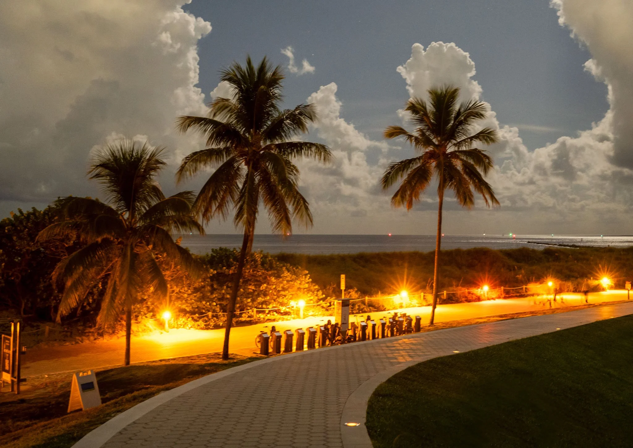 Miami-Holy-Palms-3-Web.jpg
