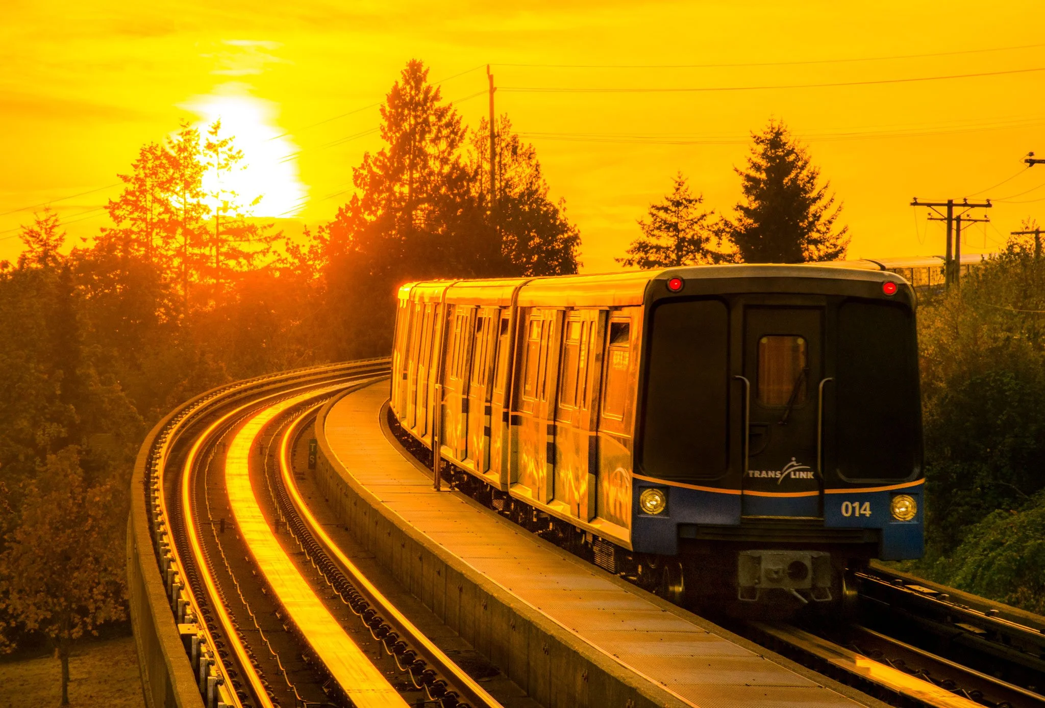 Skytrain-Gold-1-Web.jpg