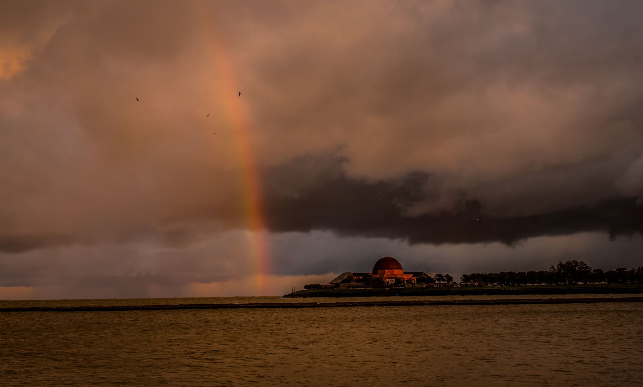 Lake-Michigan-Moods-Web.jpg