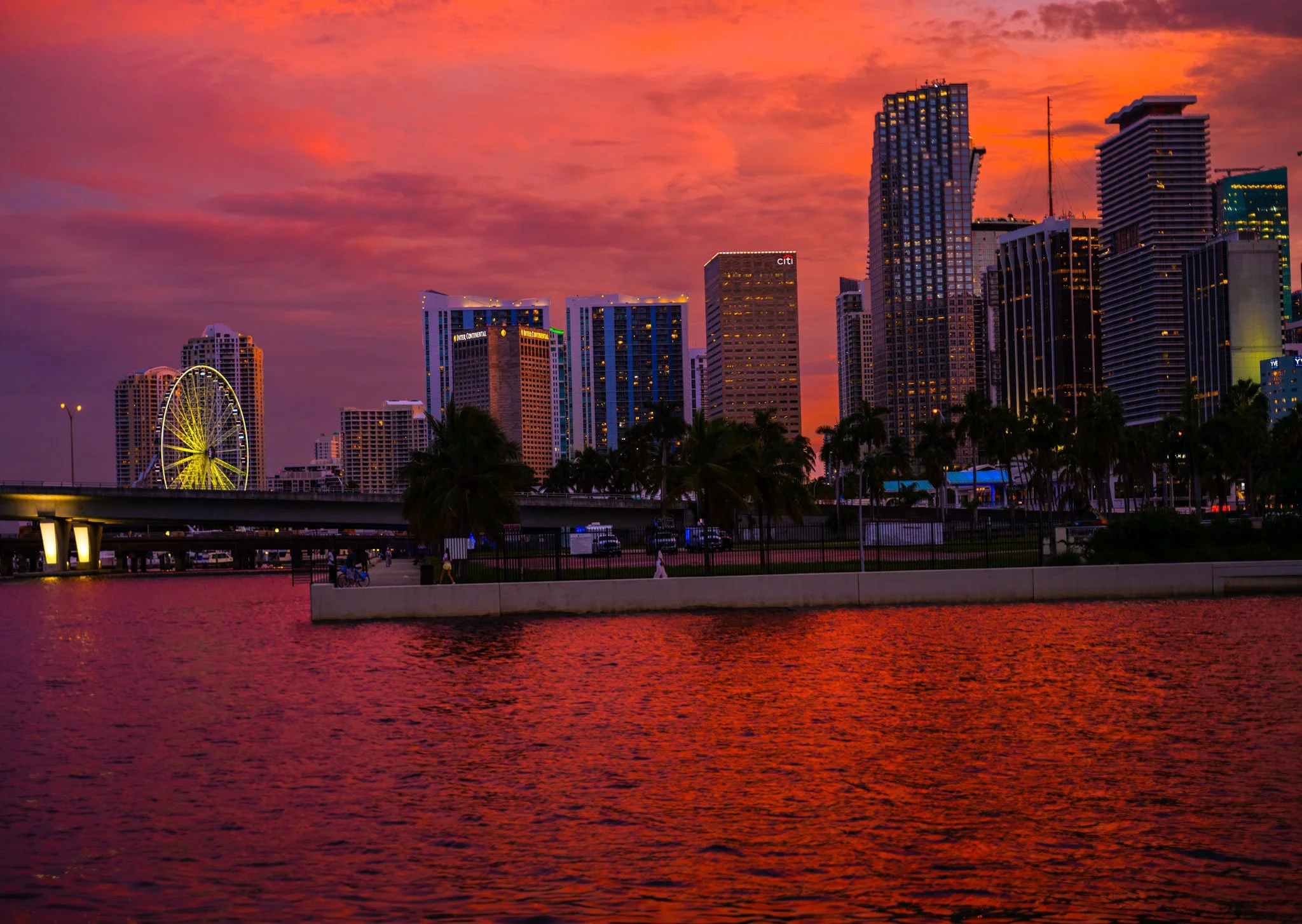 Miami-City-1-Web.jpg