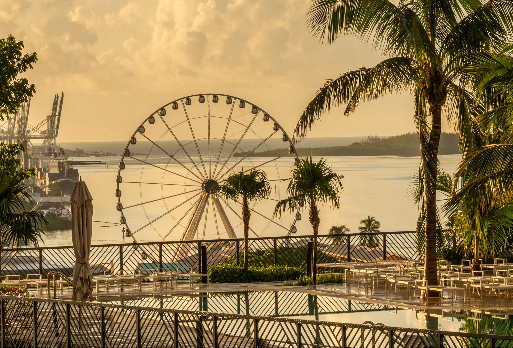 MIami-Ferris-Wheel-Pool-2-Web.jpg