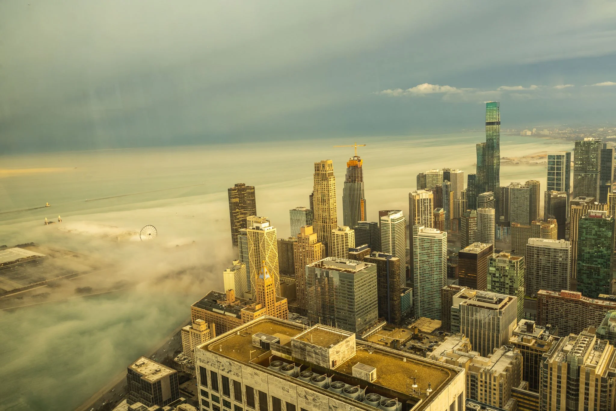 Regis-Fog-Web.jpg