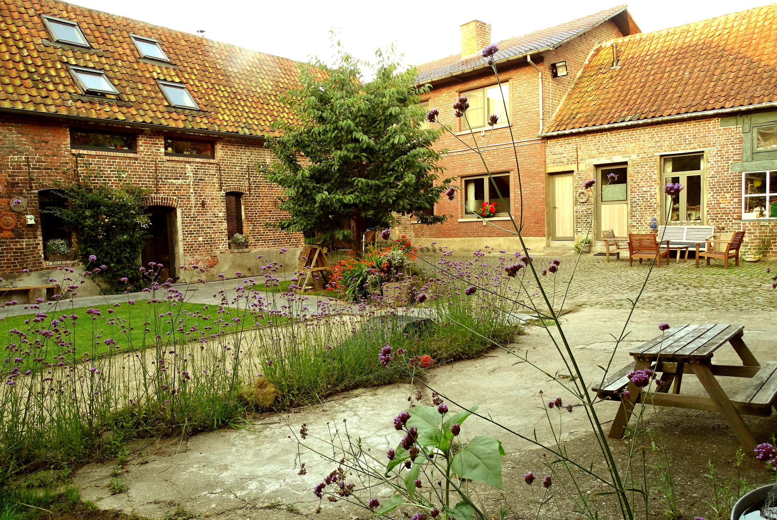 DSC00957-b.jpg