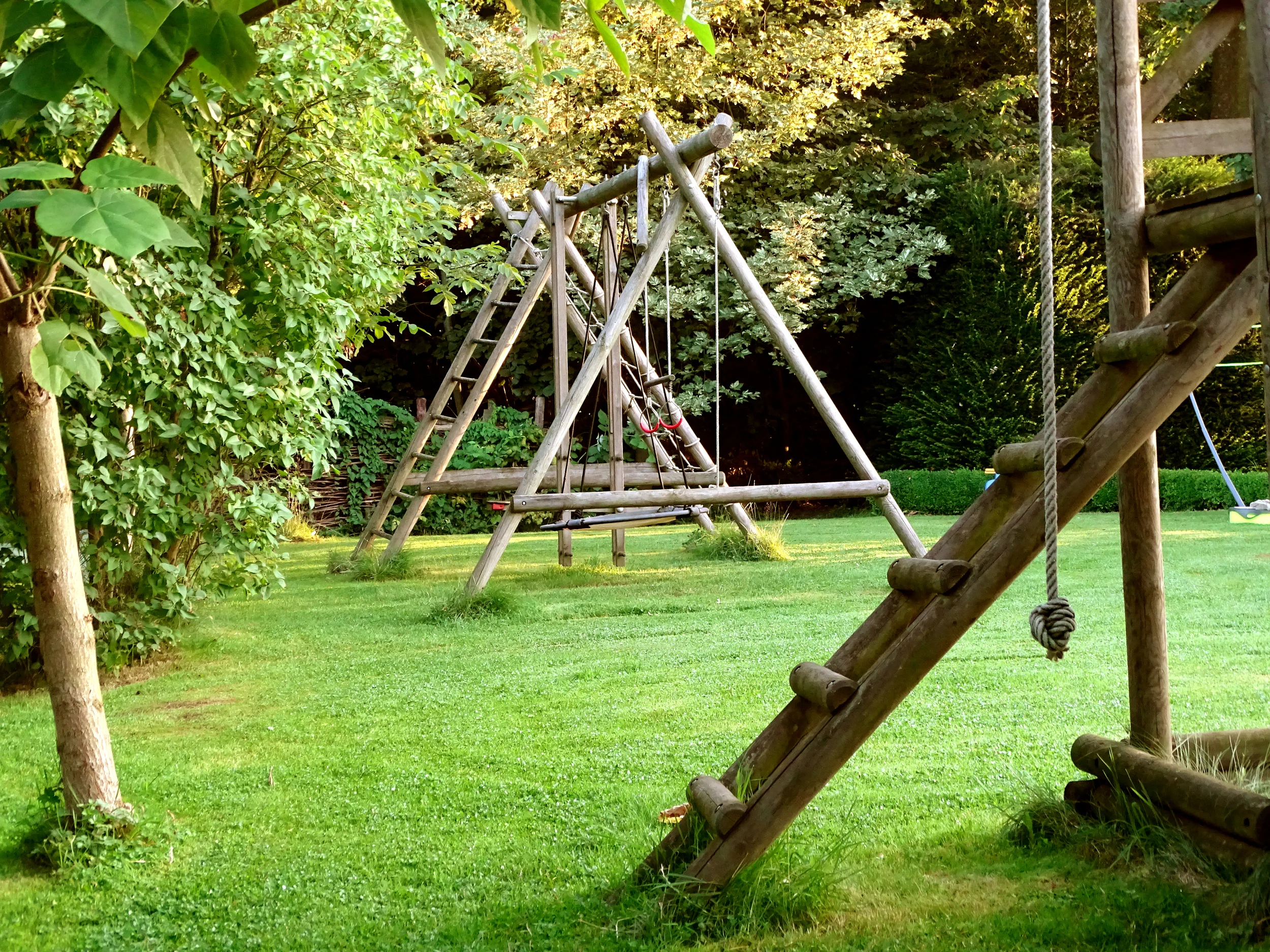 DSC01005-b.jpg