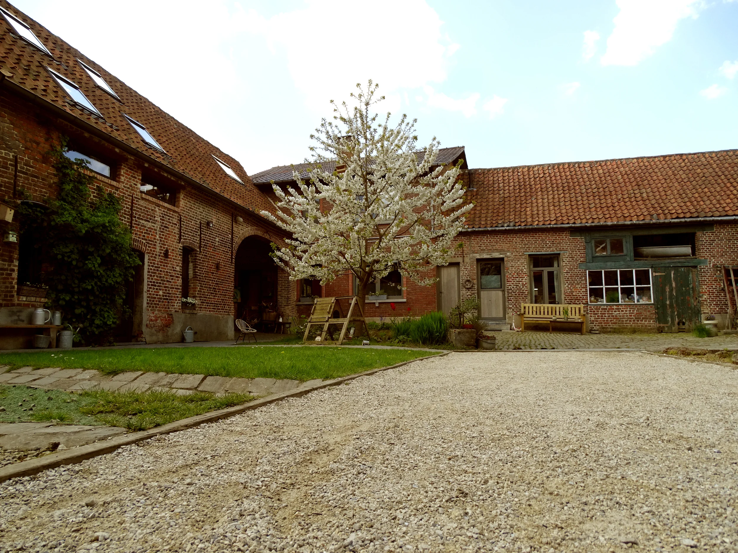 DSC09184-c.jpg