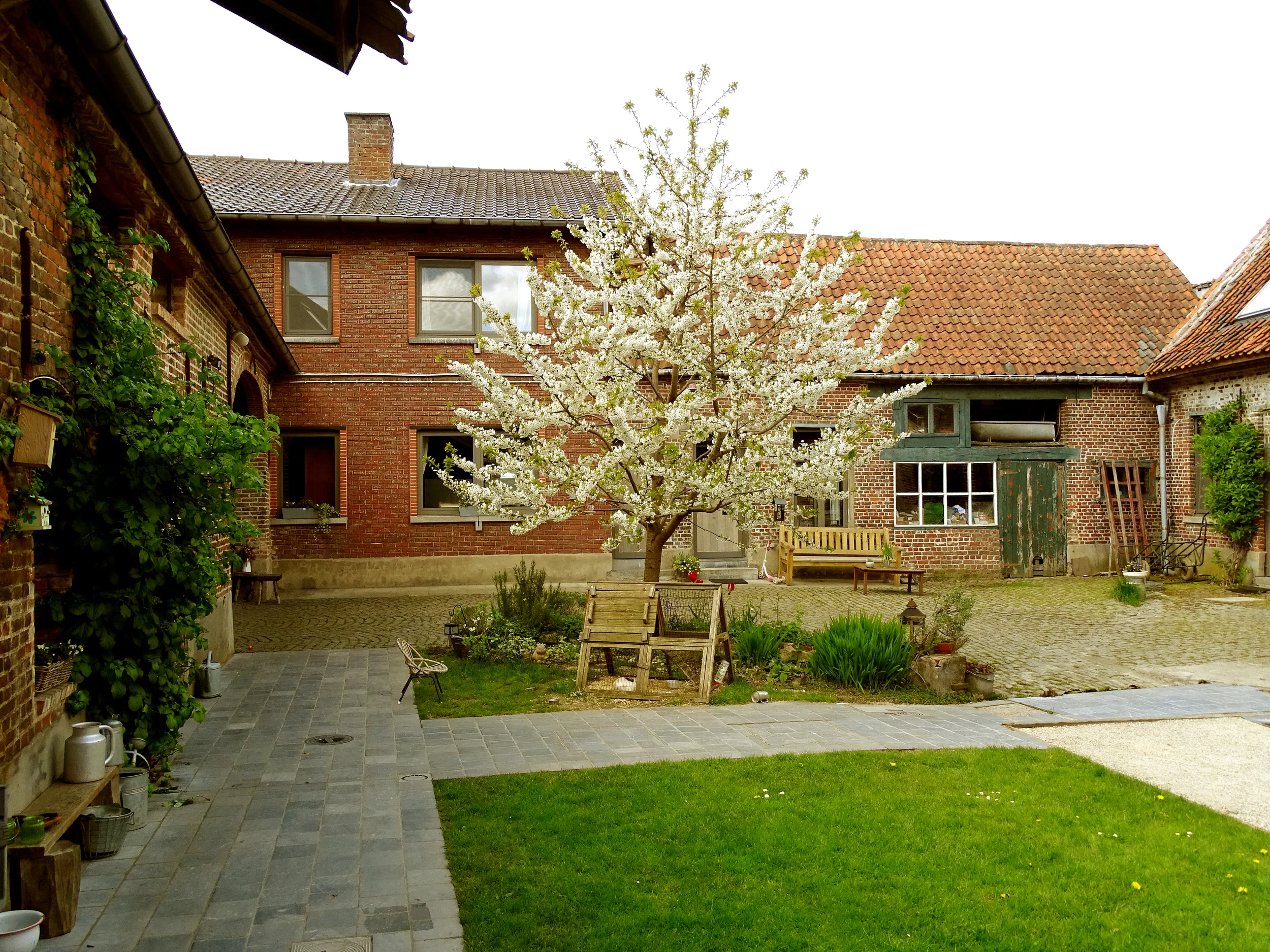 DSC09182-b.jpg