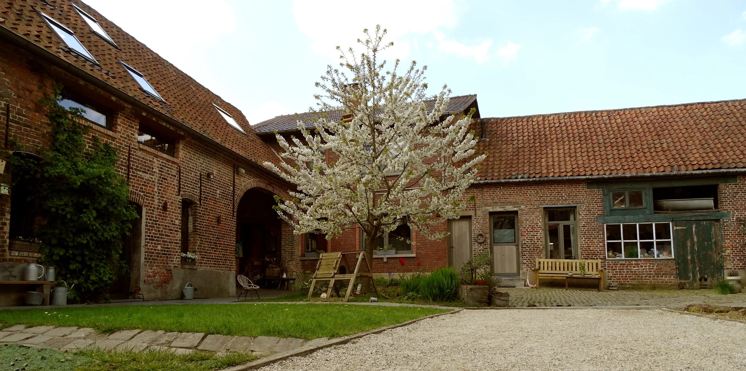 DSC09184-b.jpg