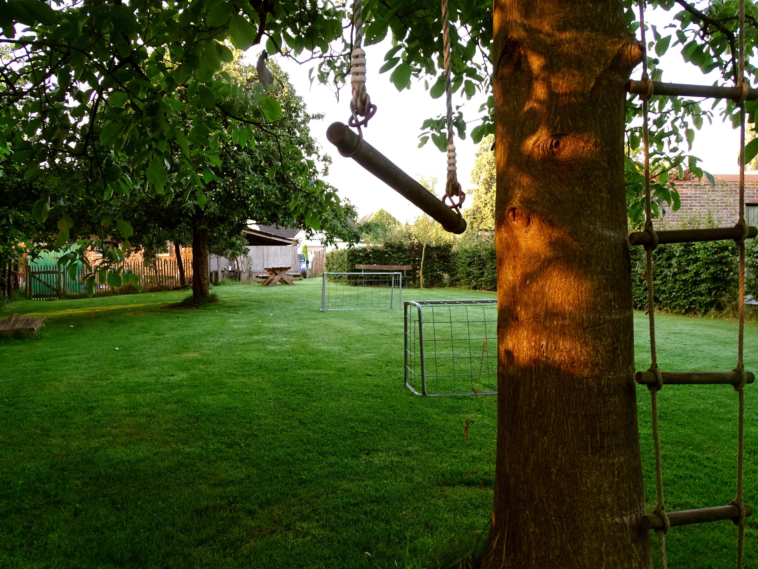 DSC01011-b.jpg