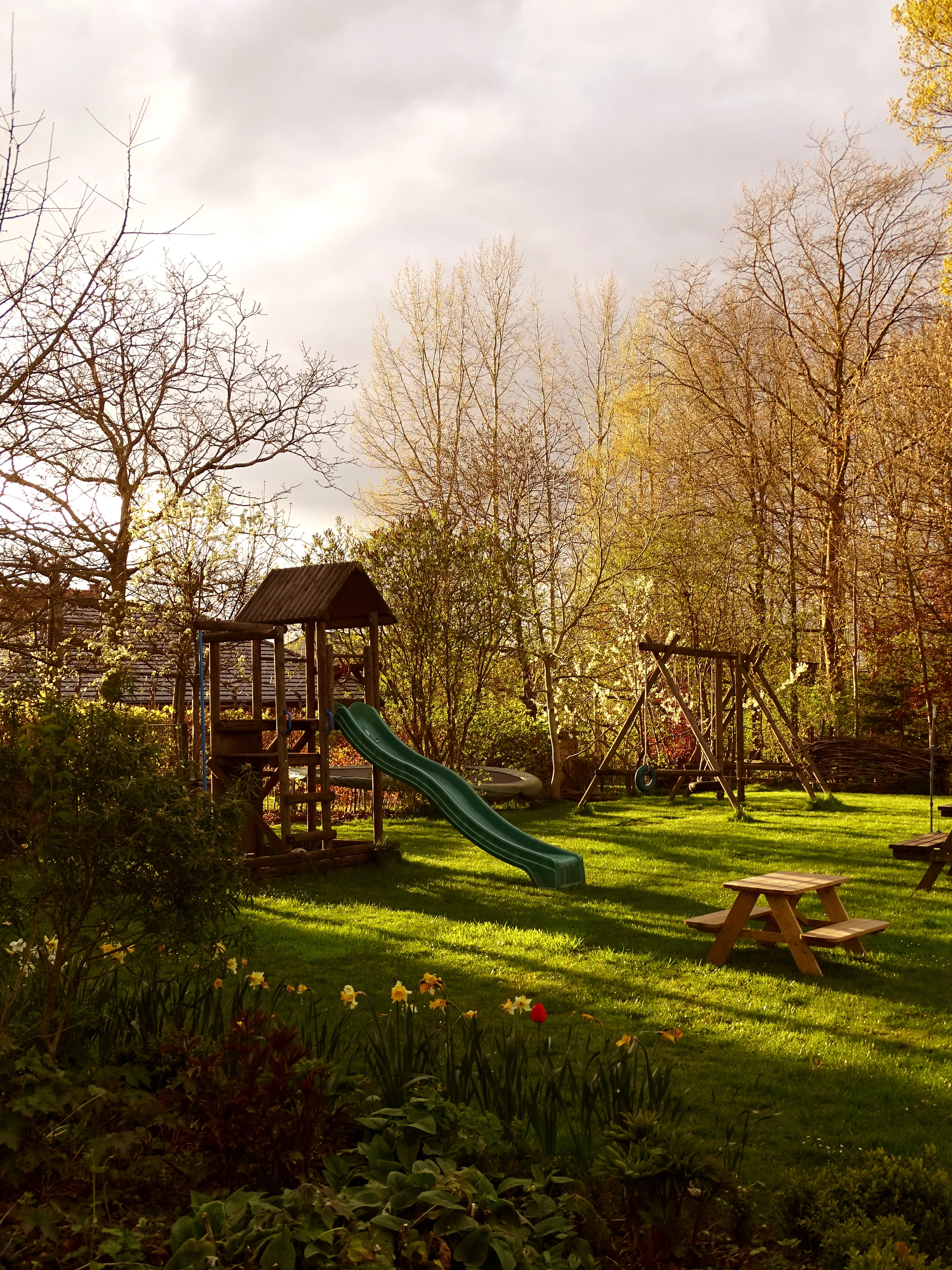 DSC08636-b.jpg