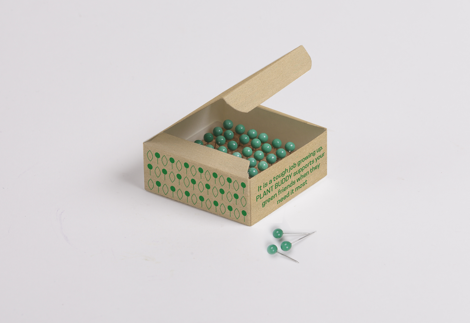 ccardboard box and pins.png