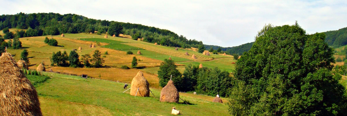 Apuseni Natural Park that can be reached in less than 2 hours from Cluj (copyright: creative commons )