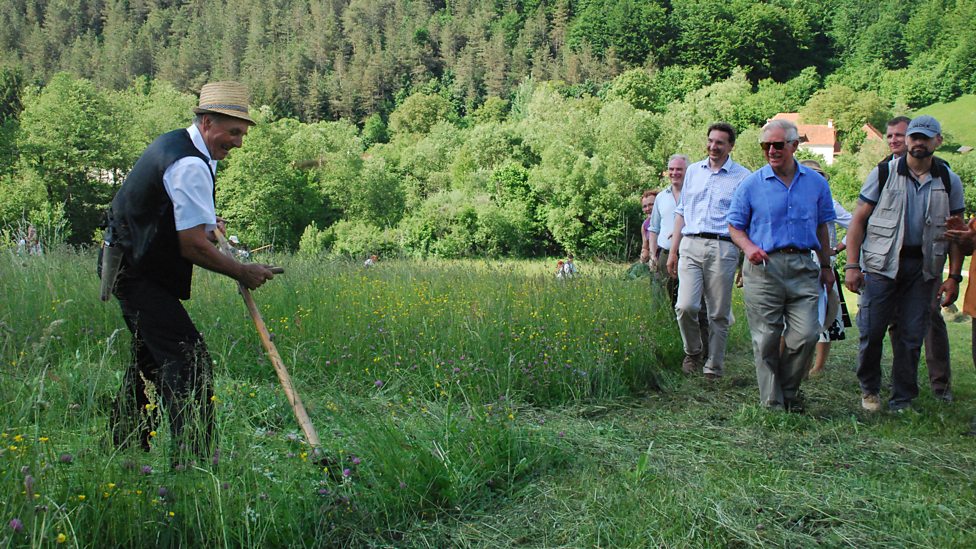 Prince Charles Transylvanian farm