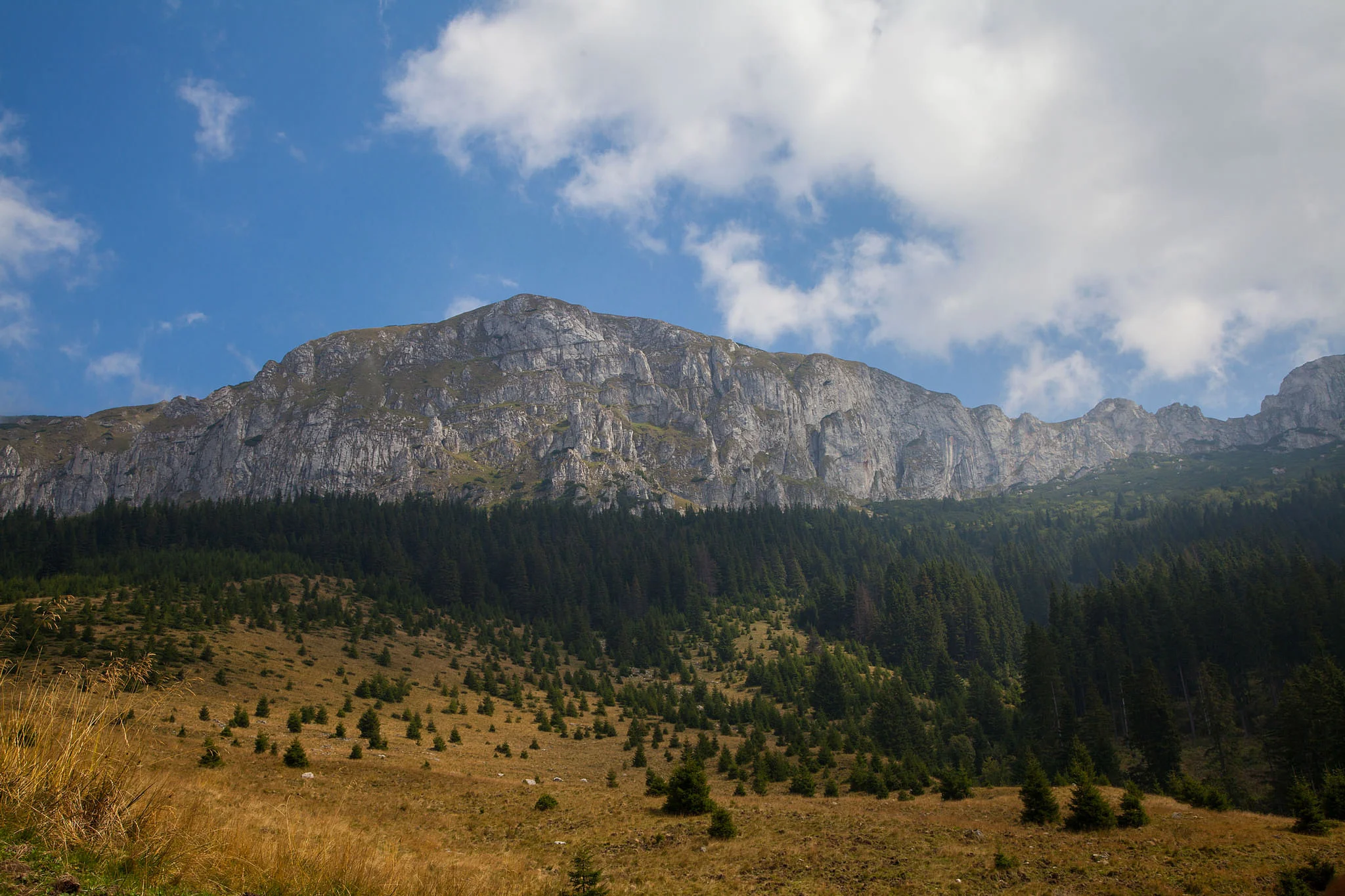 Piatra Craiului Mountains (copyright: creative commons )
