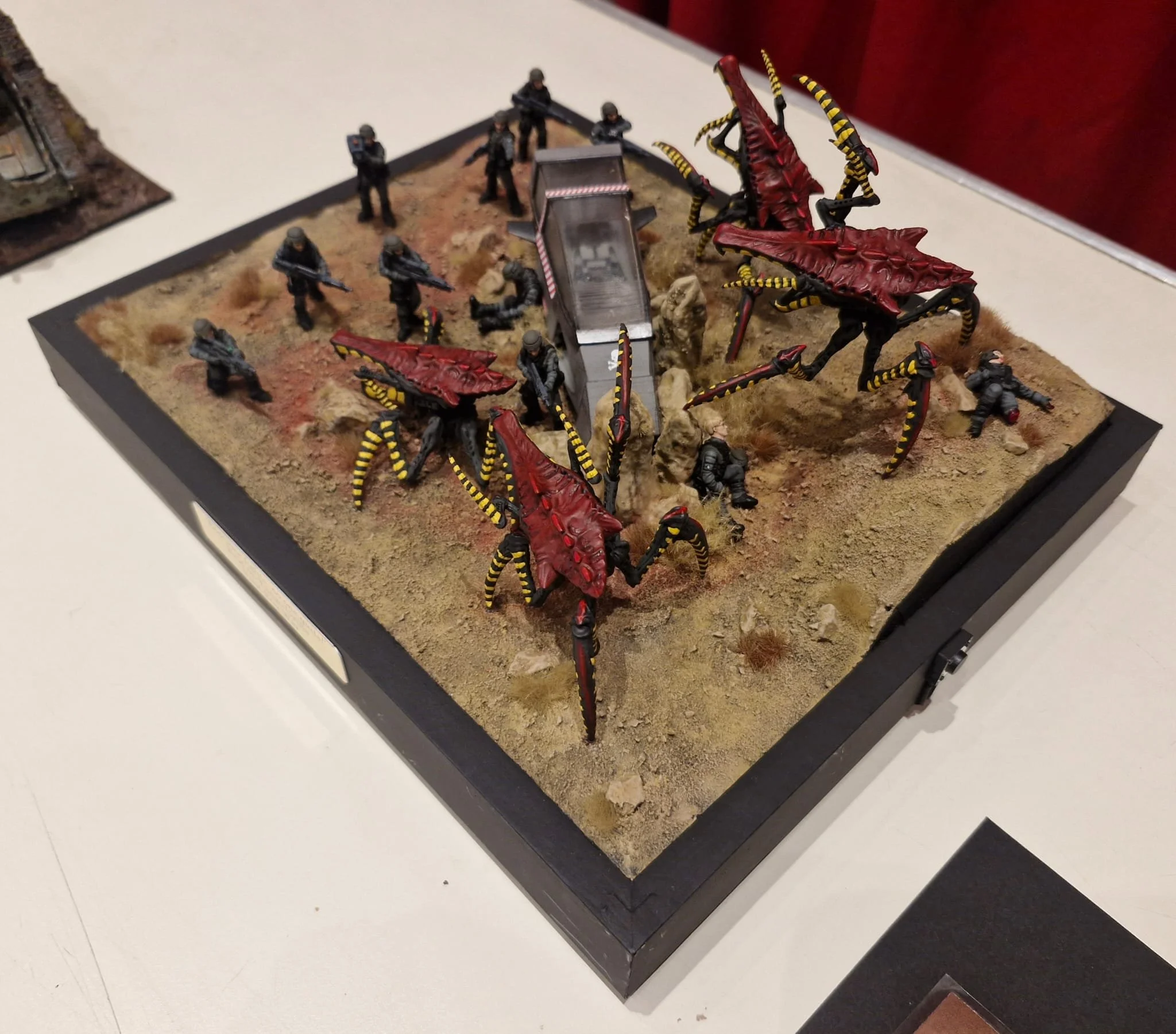 WhatsApp Image 2026-02-08 at 15.08.03.jpeg