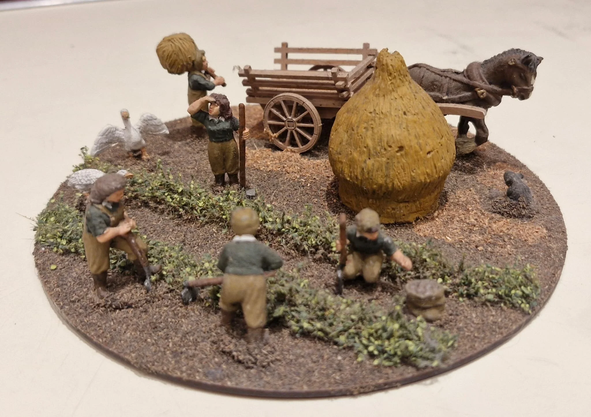 WhatsApp Image 2026-02-08 at 15.08.03 (6).jpeg