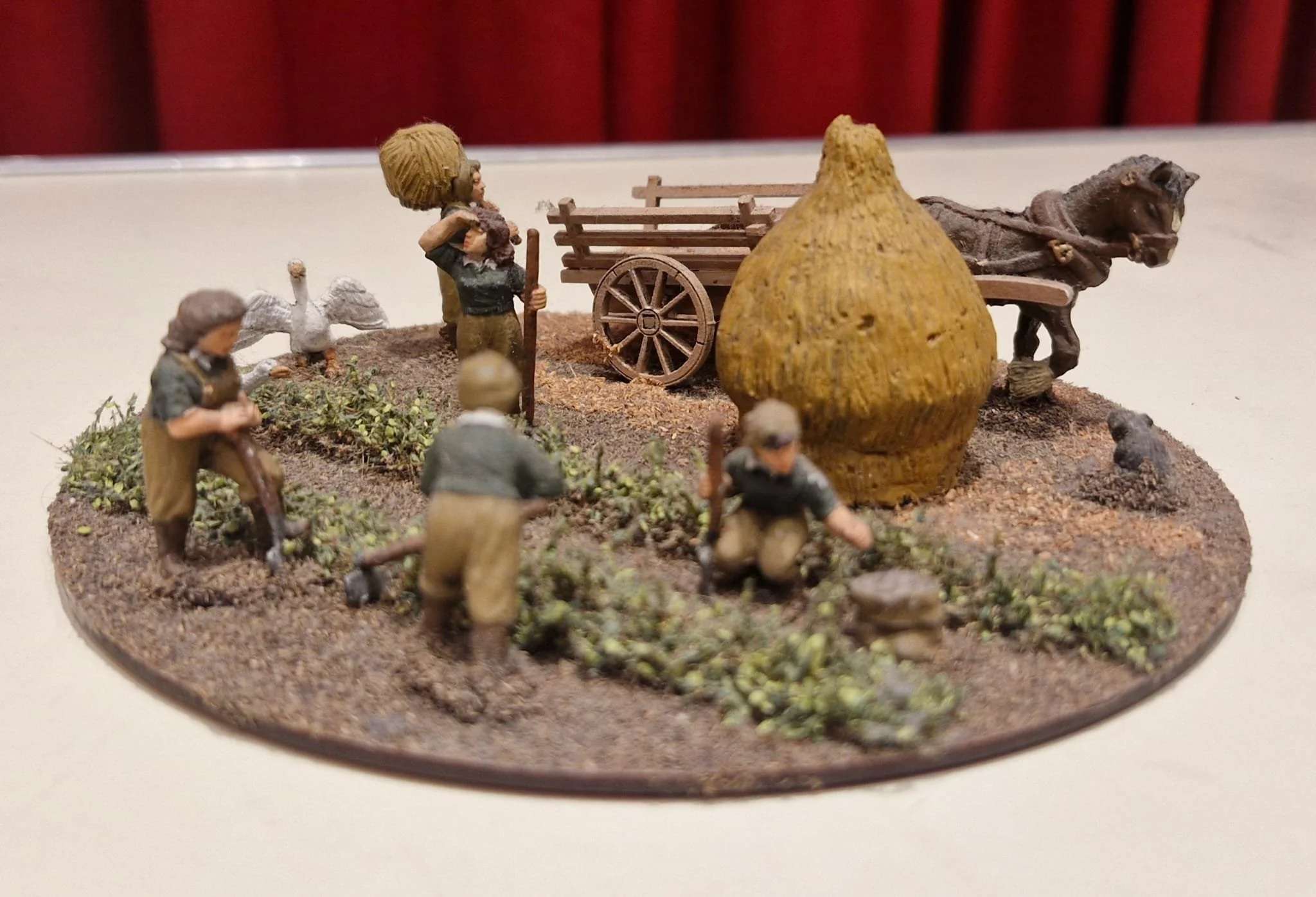 WhatsApp Image 2026-02-08 at 15.08.03 (5).jpeg