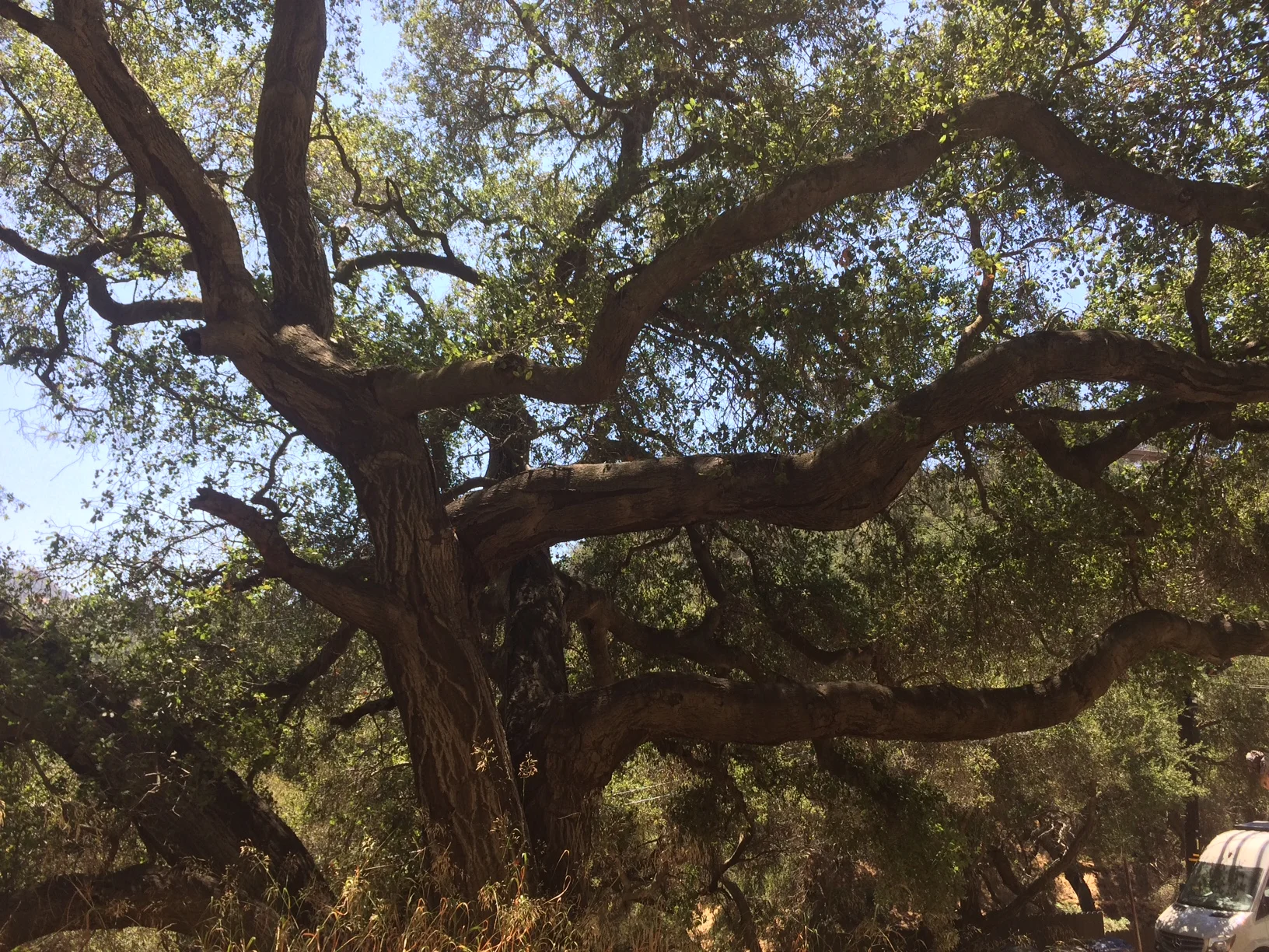 At Home With... Lori Sambol Brody