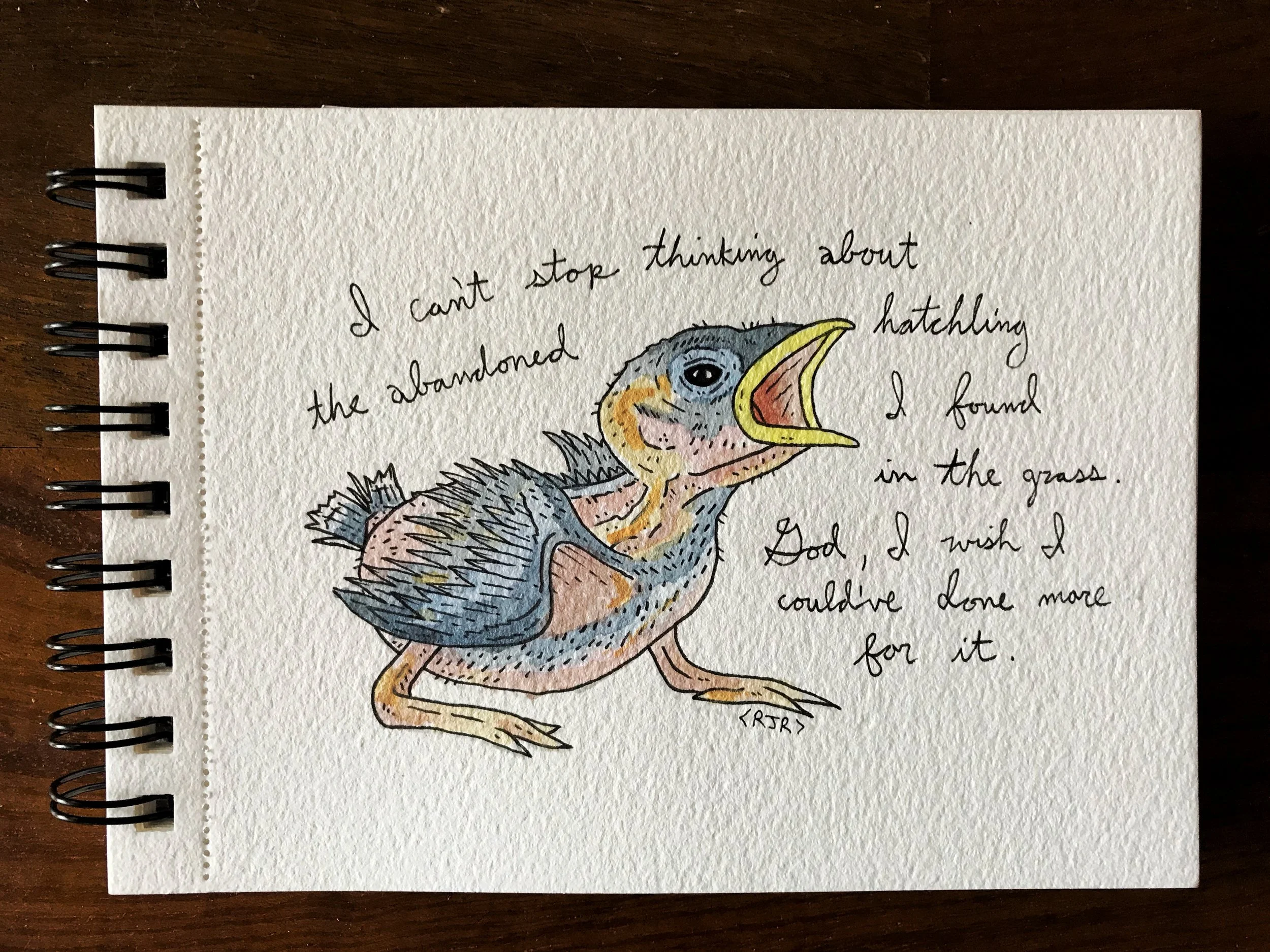 bird (1).jpeg