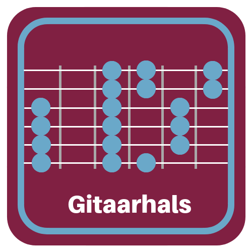 gitaarles antwerpen - gitaarhals kennis.png