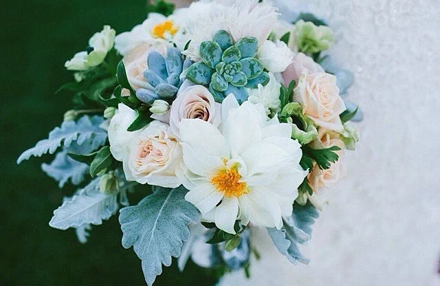 allwhite&succulent.jpg