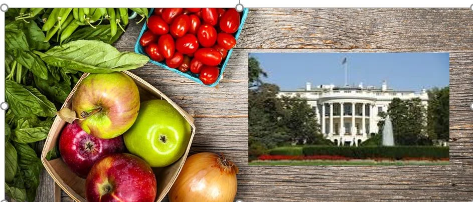 food banner wh.JPG