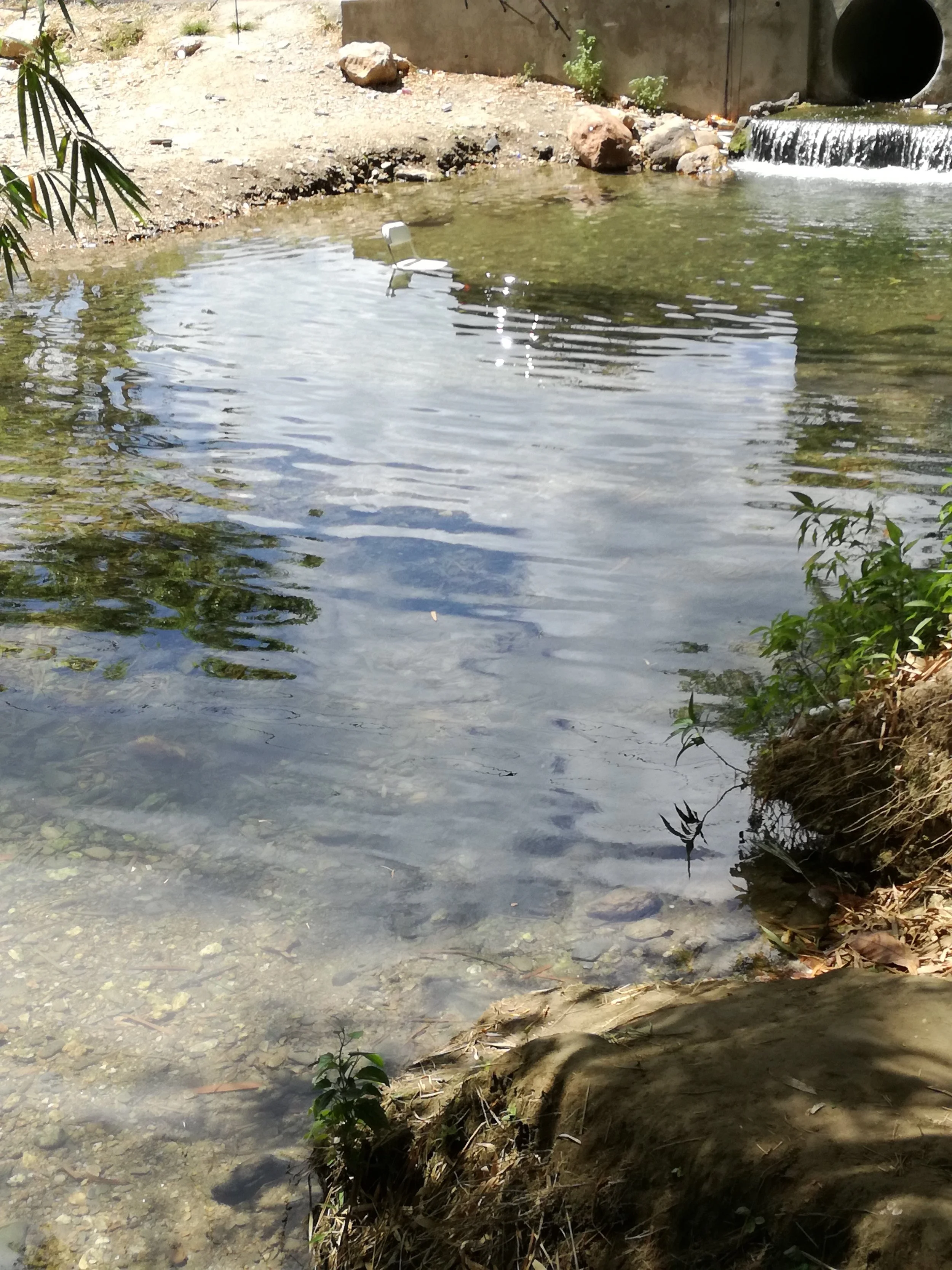 Not feeling to sit in the water, but still want to get your feet wet and be comfortable...put a chair in the river! Gotta love innovation! :)