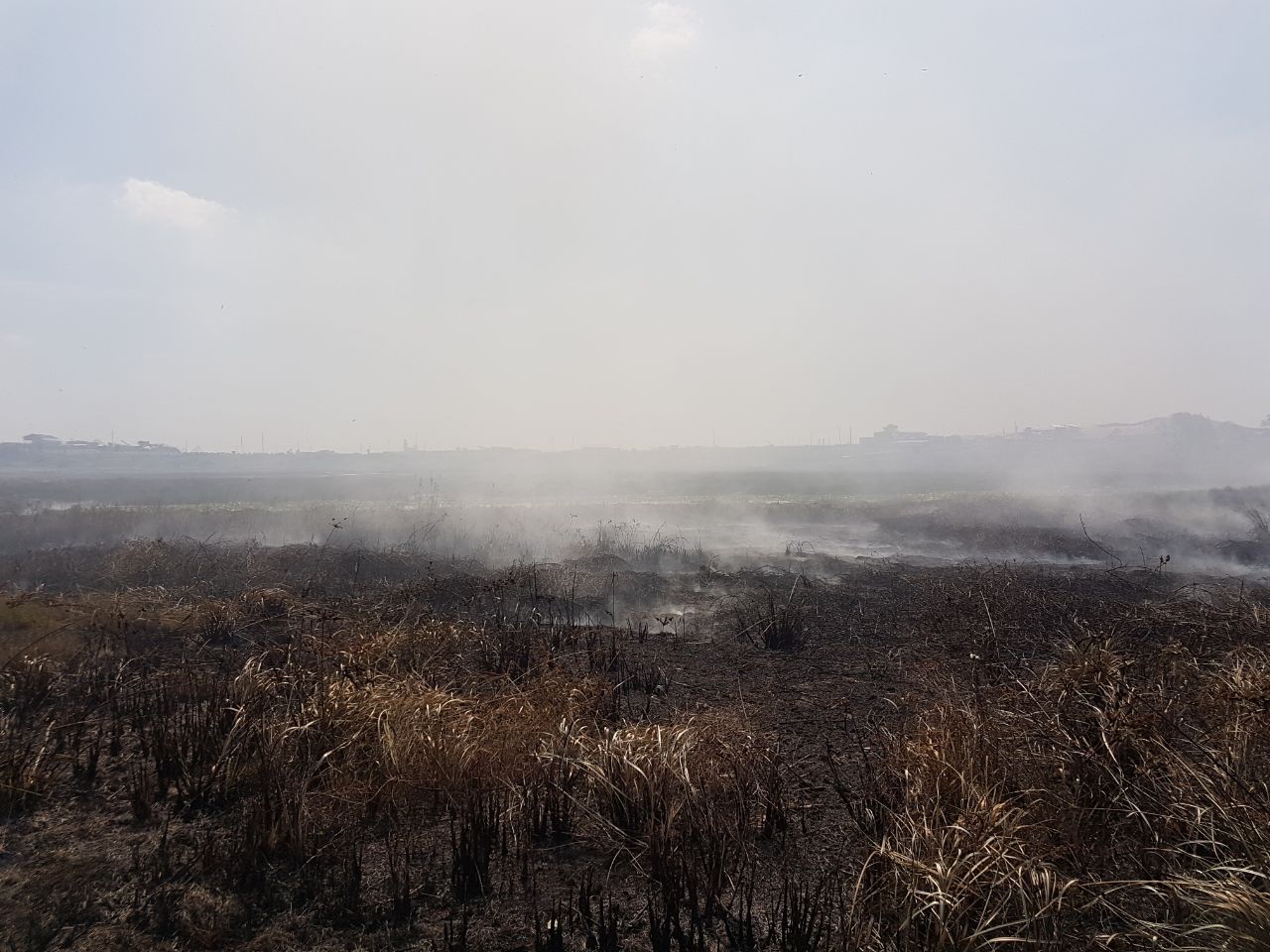 Bush fire on the lake...